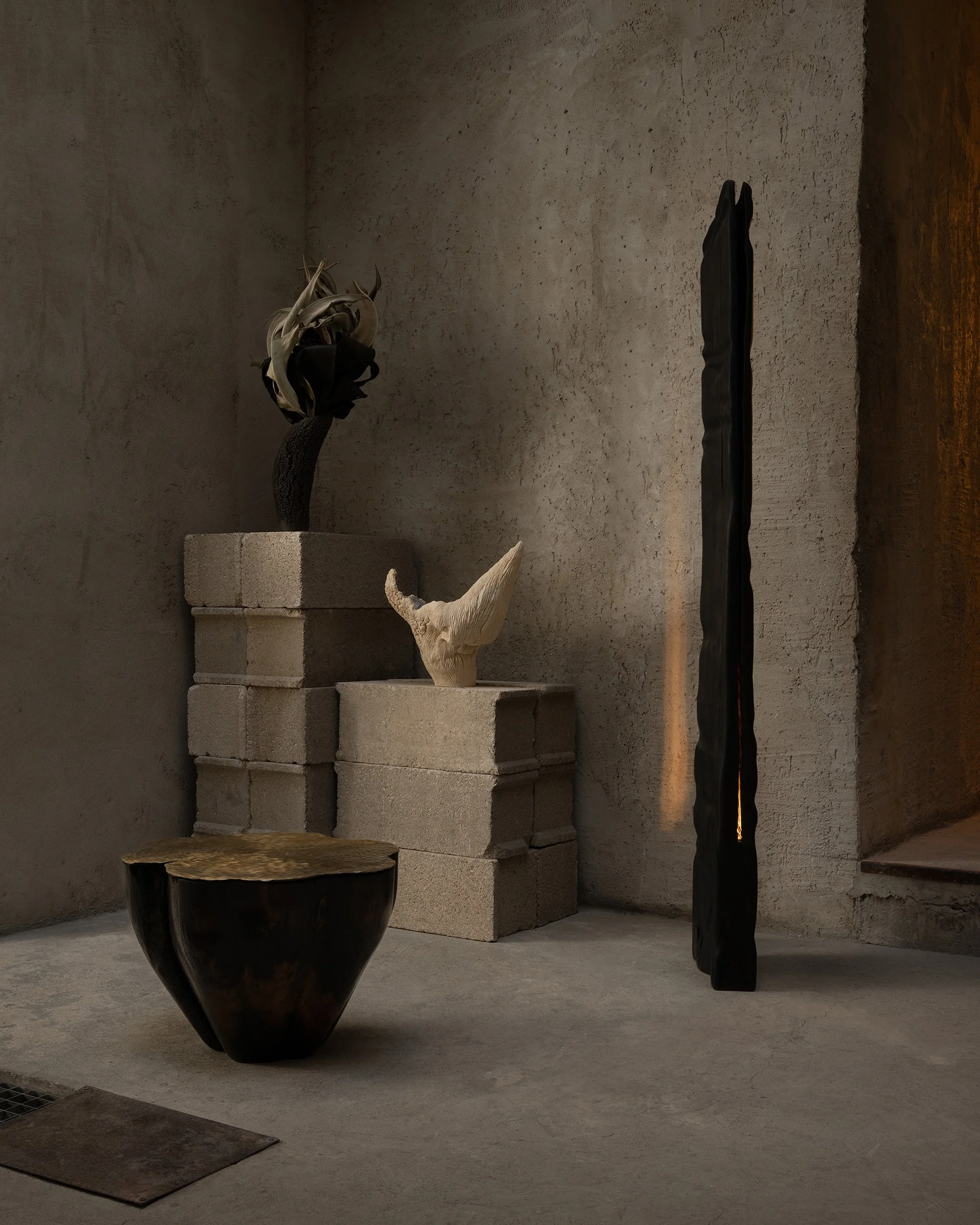 Photography for @lalune.galerie 
NOIRE exhibition at @lucid__interval