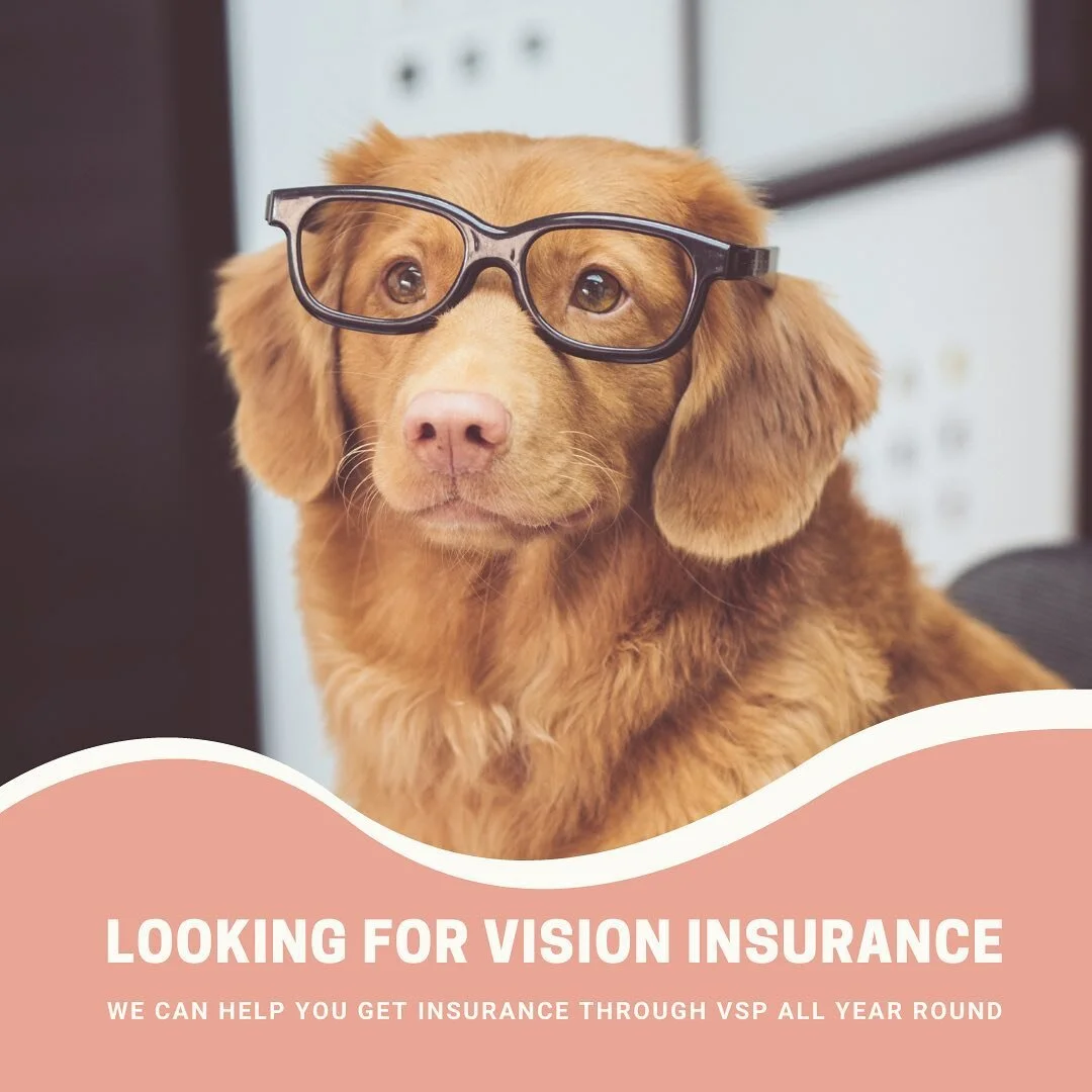 It&rsquo;s always a good idea to get your eyes checked by a vision doctor annually, whether or not you currently wear glasses.

If you need Vision insurance, or want to compare more options with your current health insurance, feel free to reach out! 