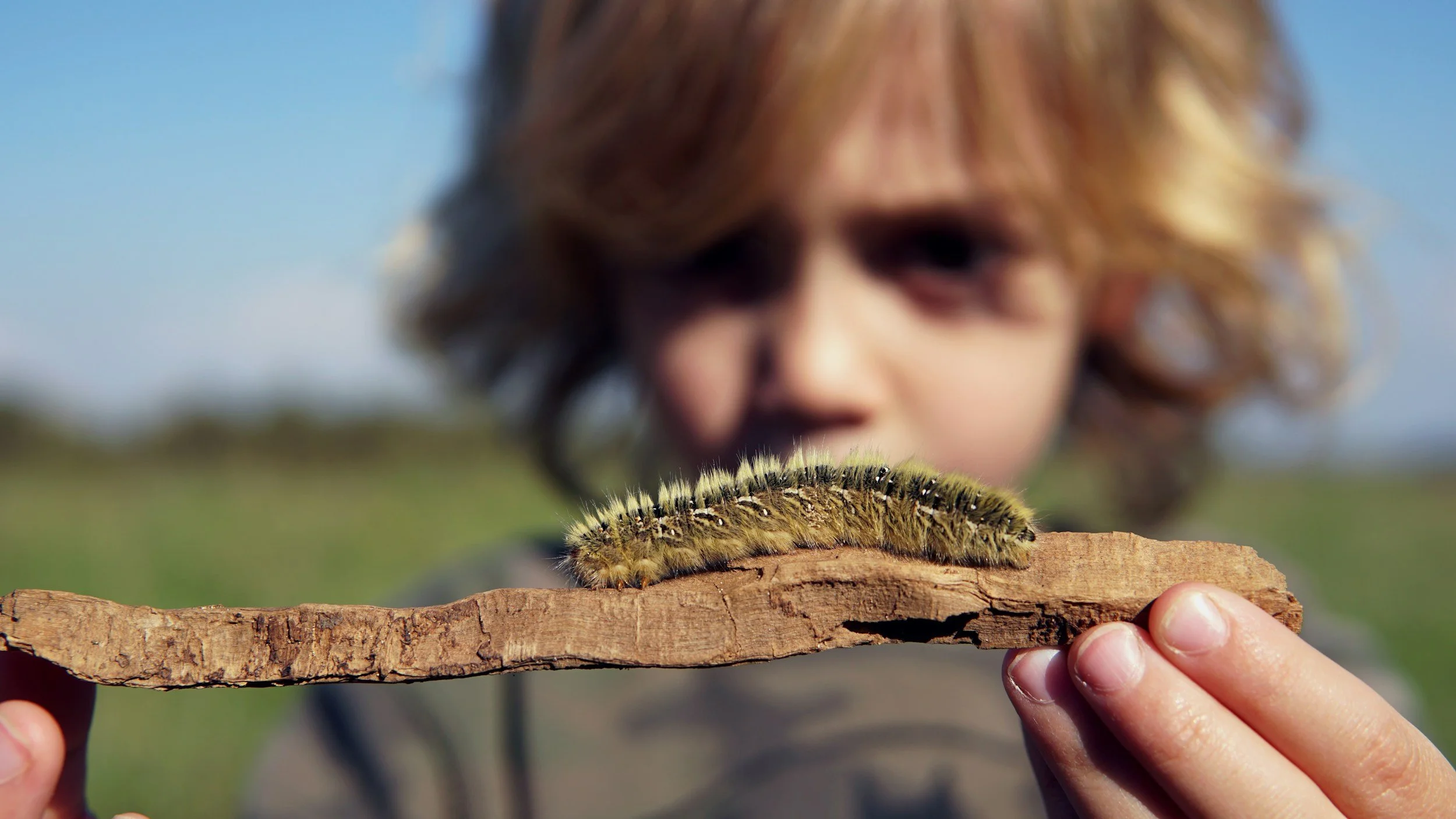 Child representing Young autistic boy exploring a caterpillar outdoors, representing the deep curiosity and special interests (SpINS) often seen in autistic children and neurodivergent kids.