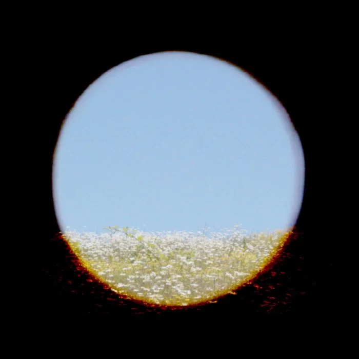 Village in Your Head