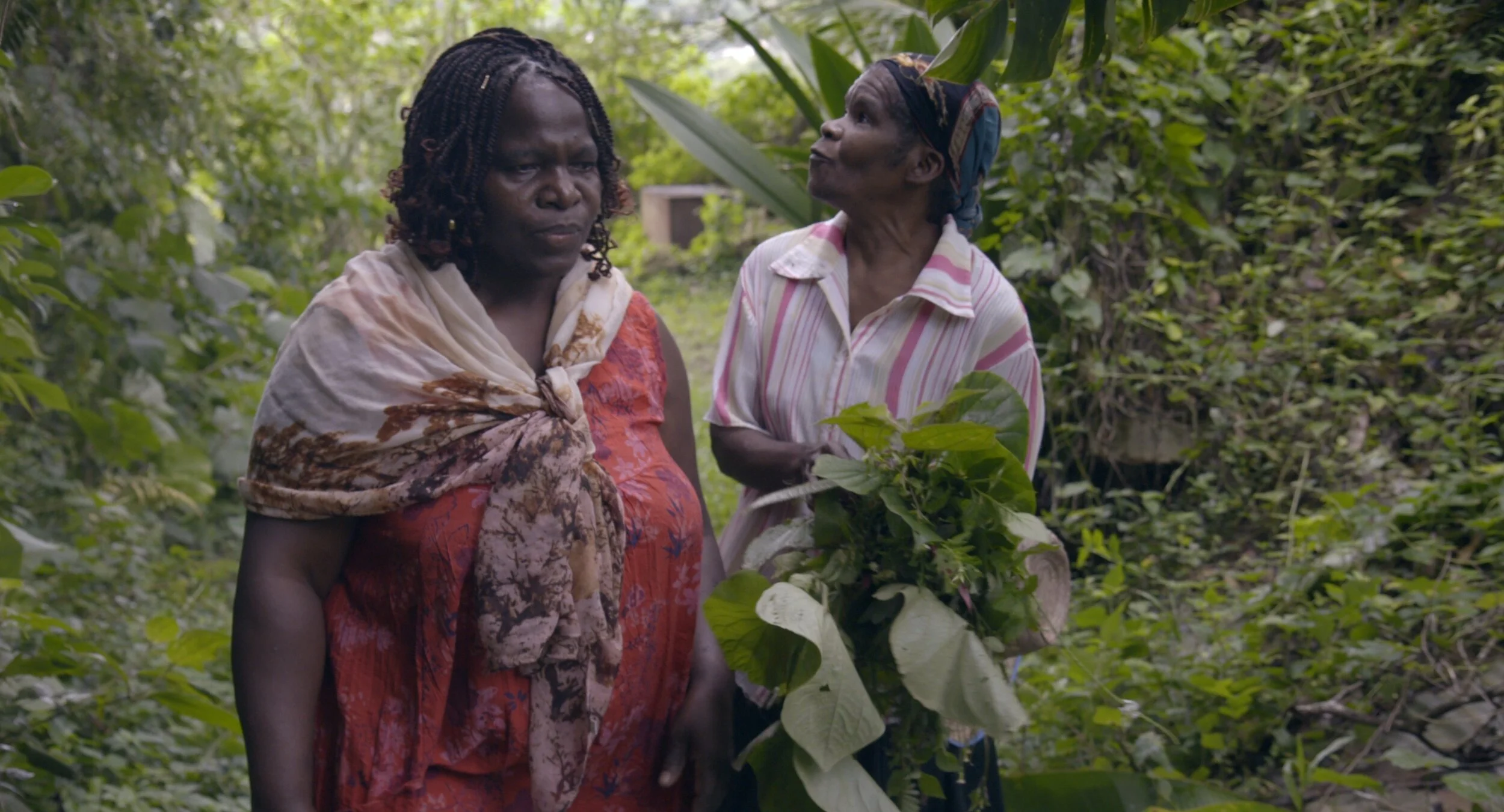 FILM: You Think the Earth is a Dead Thing