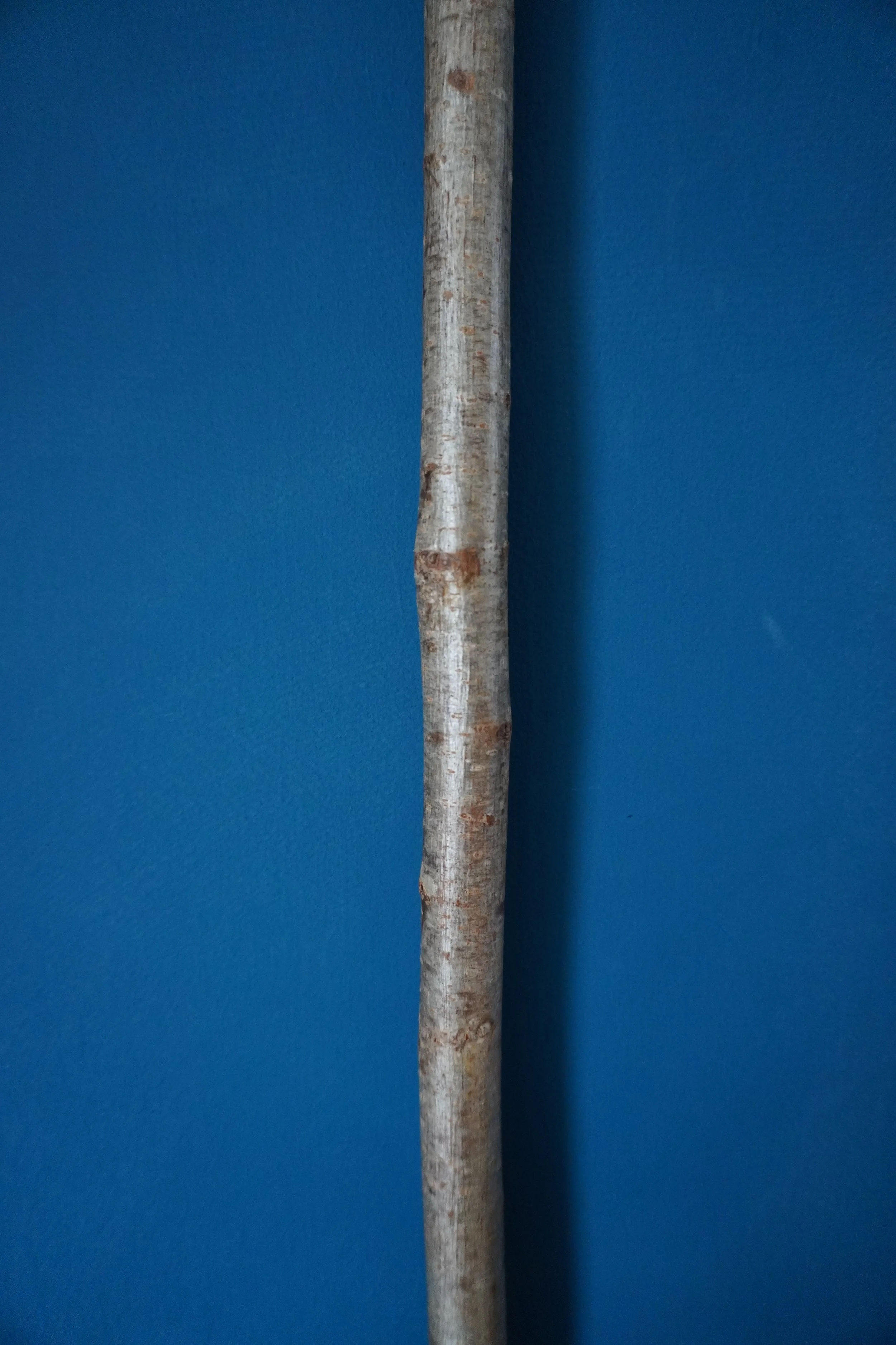 Handmade cobweb broom, made in the UK from natural materials. — Rosa