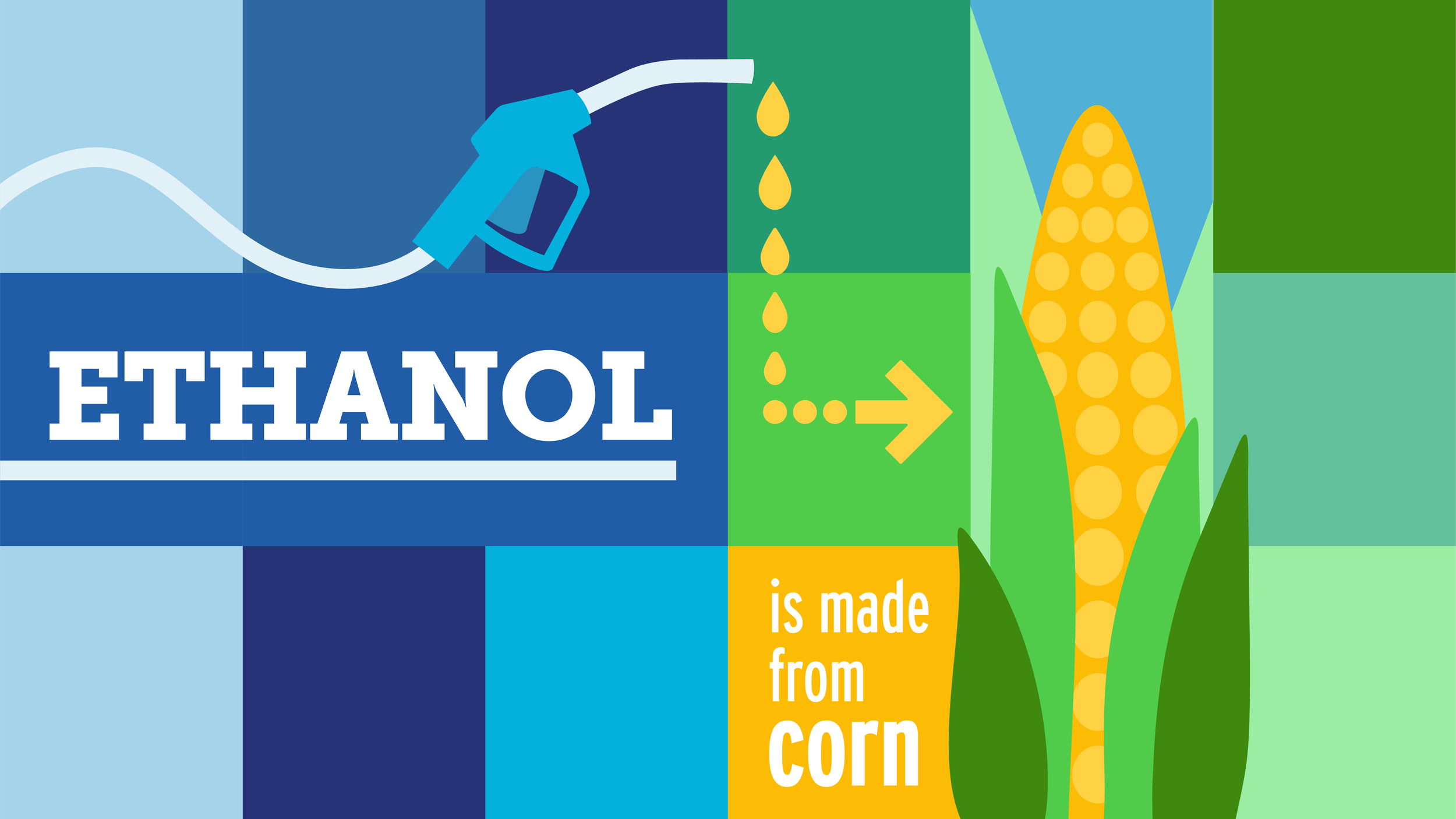 <p class="" style="white-space:pre-wrap;">Tennessee Corn</p>