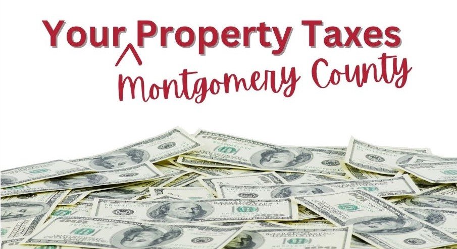 Property Tax Savings: The Impact of Senate Bill 2 on Texas Homestead  Exemption Property Tax Savings