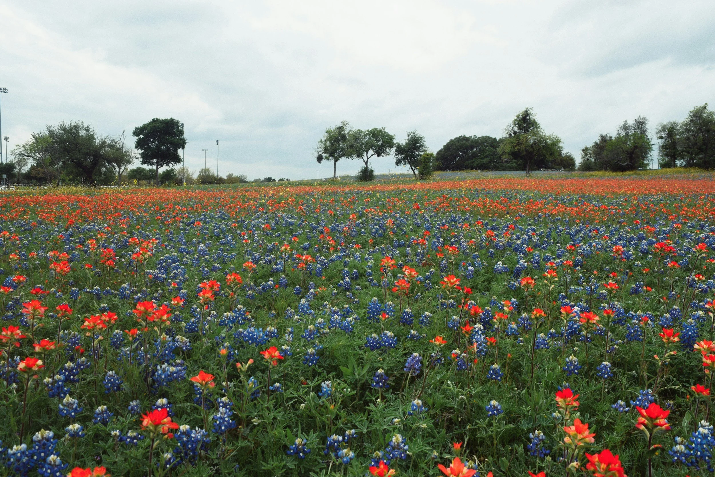 Stop Texas Water &amp; Land Grab