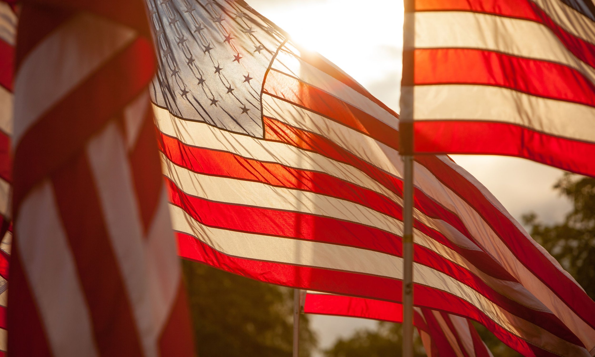 The United States in Bible Prophecy