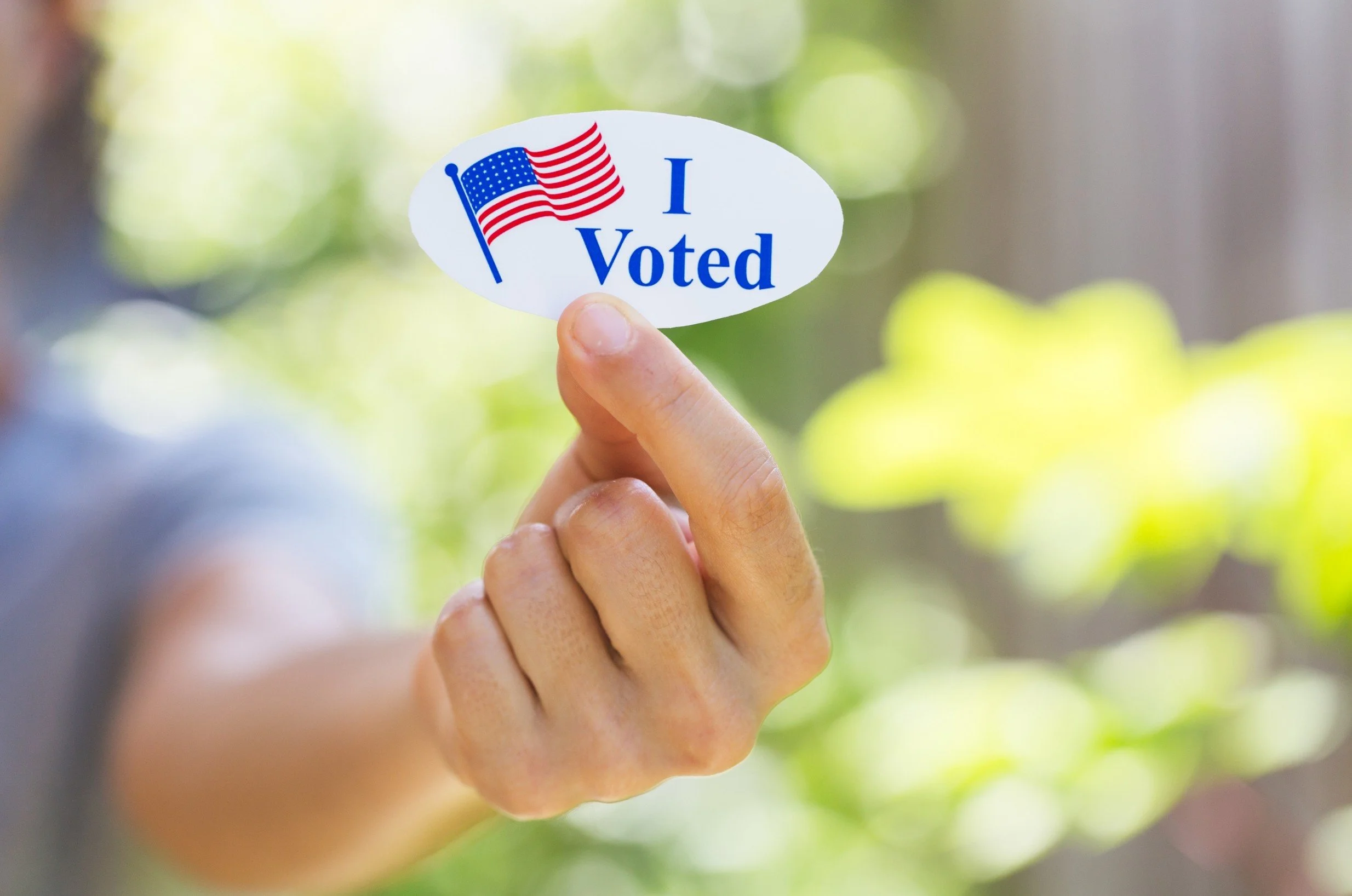 I voted sticker