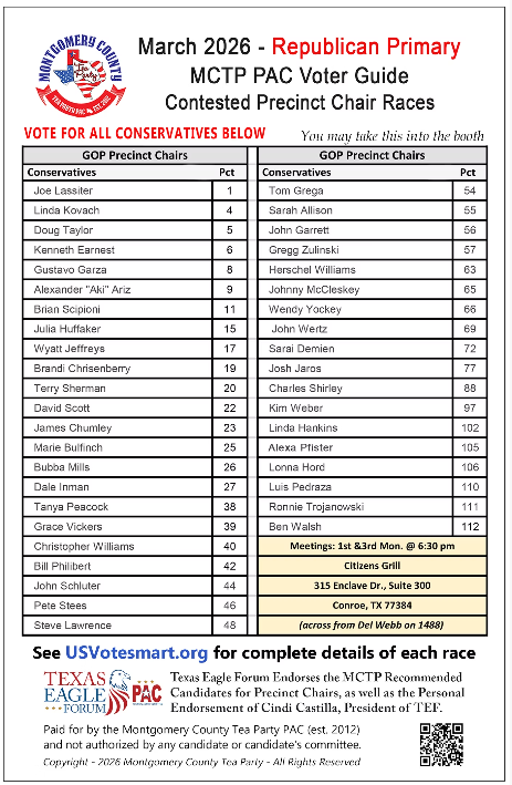 Precinct Chair Voter Guide