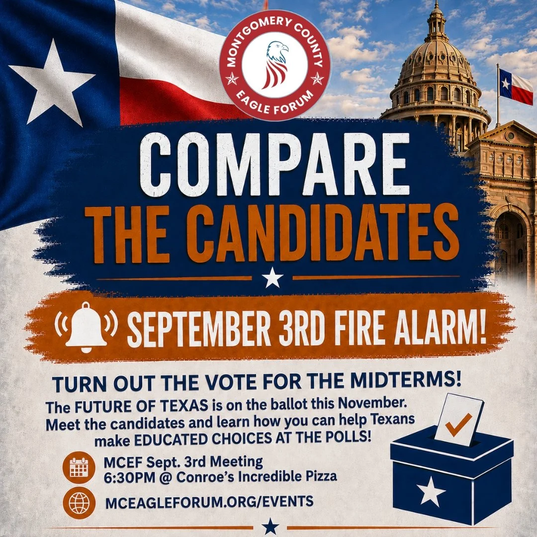 Compare the Candidates