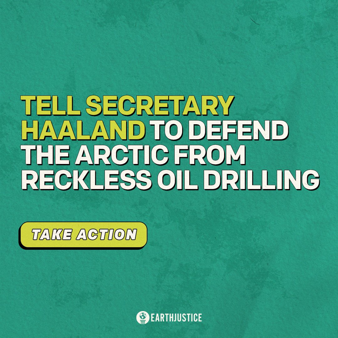 artic - statement on a plain background 4.jpg