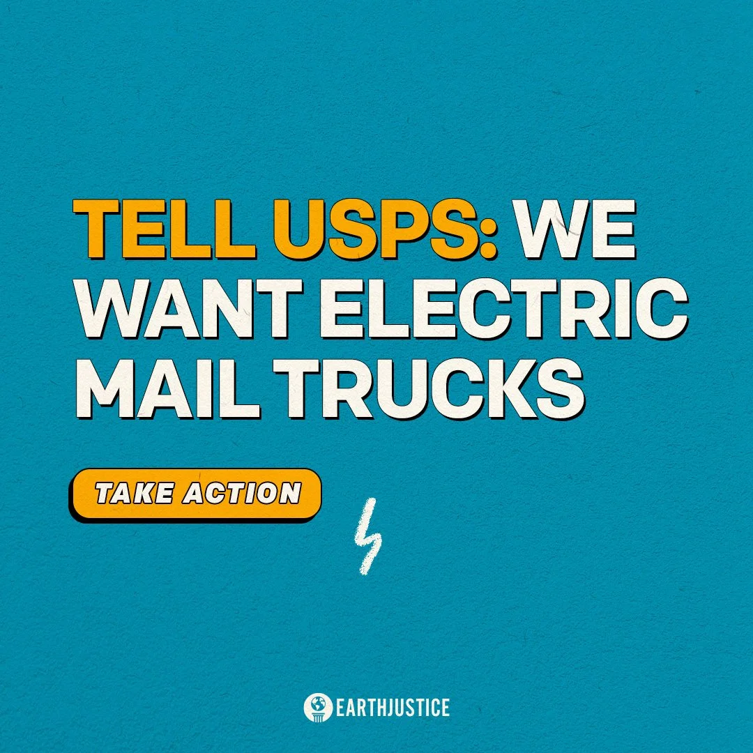 usps - statement on plain background 2.jpg