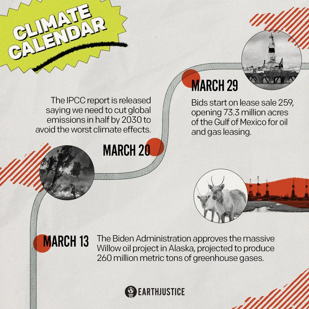 Lease 259 Timeline.jpg