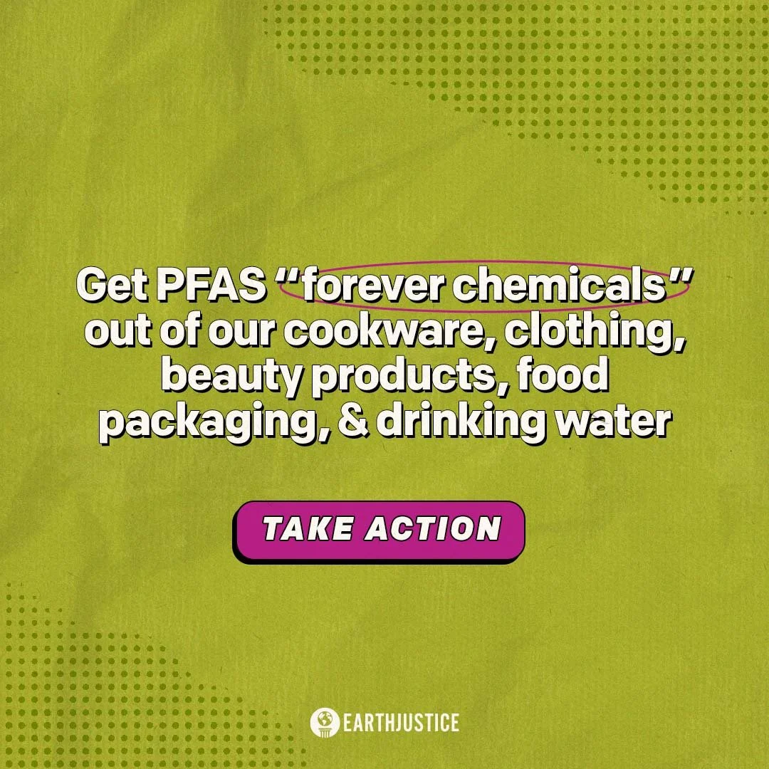 pfas - statement on a plain background.jpg