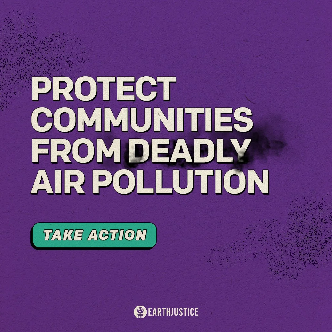 clean air - statement on a plain background 2.jpg