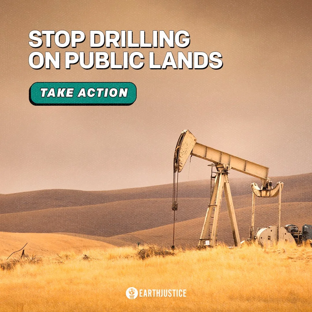 ffpl - photo background 4.jpg