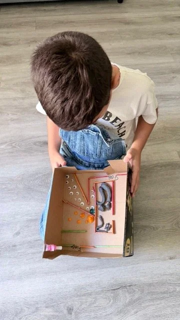 Más allá del currículo enlatado: La libertad de aprender según las inteligencias y talentos de cada niño