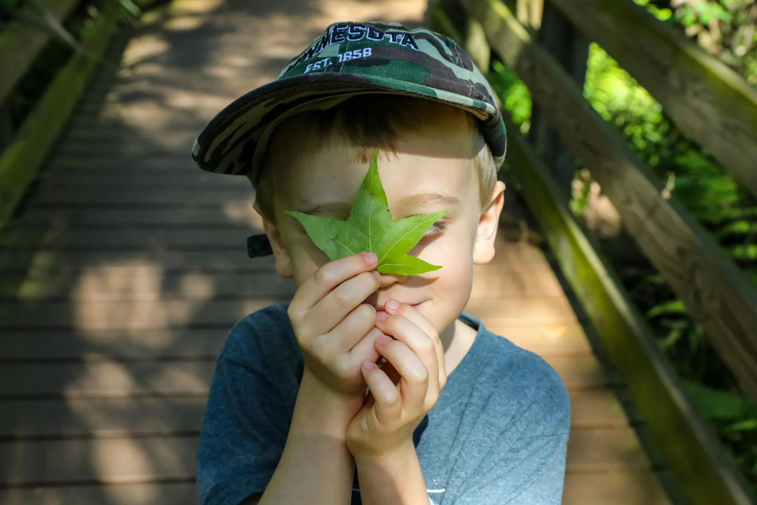 Nature-Based Homeschooling Without a Fancy Setup