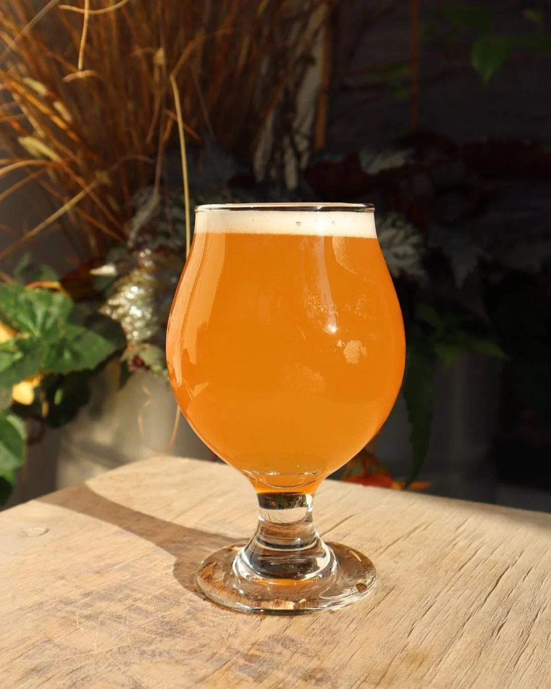 September summed up in two photos 😮‍💨
Stop by for a glass and comfortable weather on our patio!
#VanCraftBeer #KitsilanoCraftBrews #VancouverCraftBeer #CraftBeerYVR #VancouverBrewery #craftbeervancouverwa