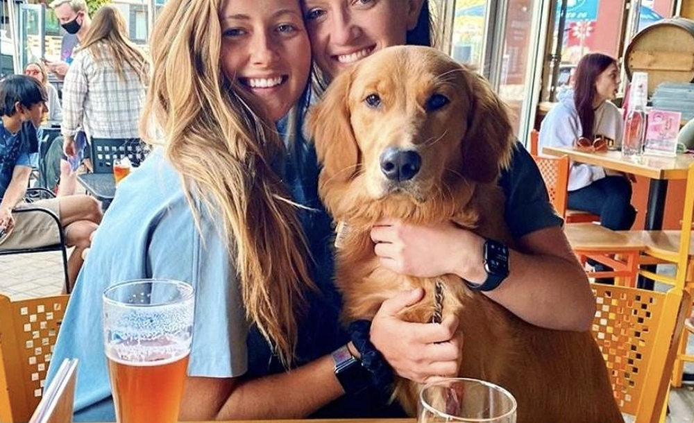Arvada’s Best DogFriendly Patios — Visit Arvada