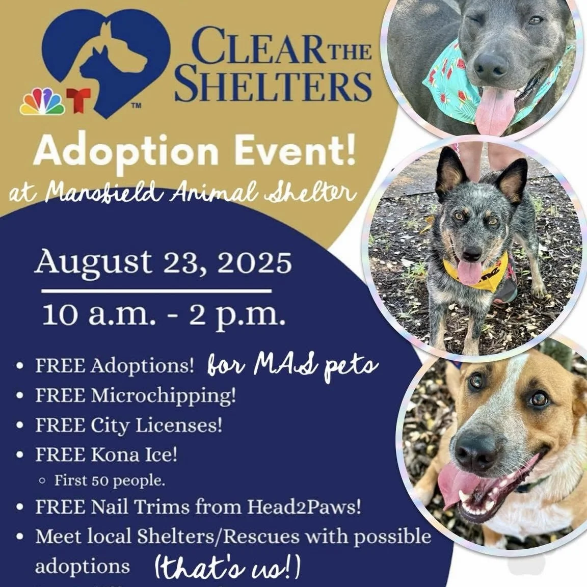 Mansfield Clear the Shelter