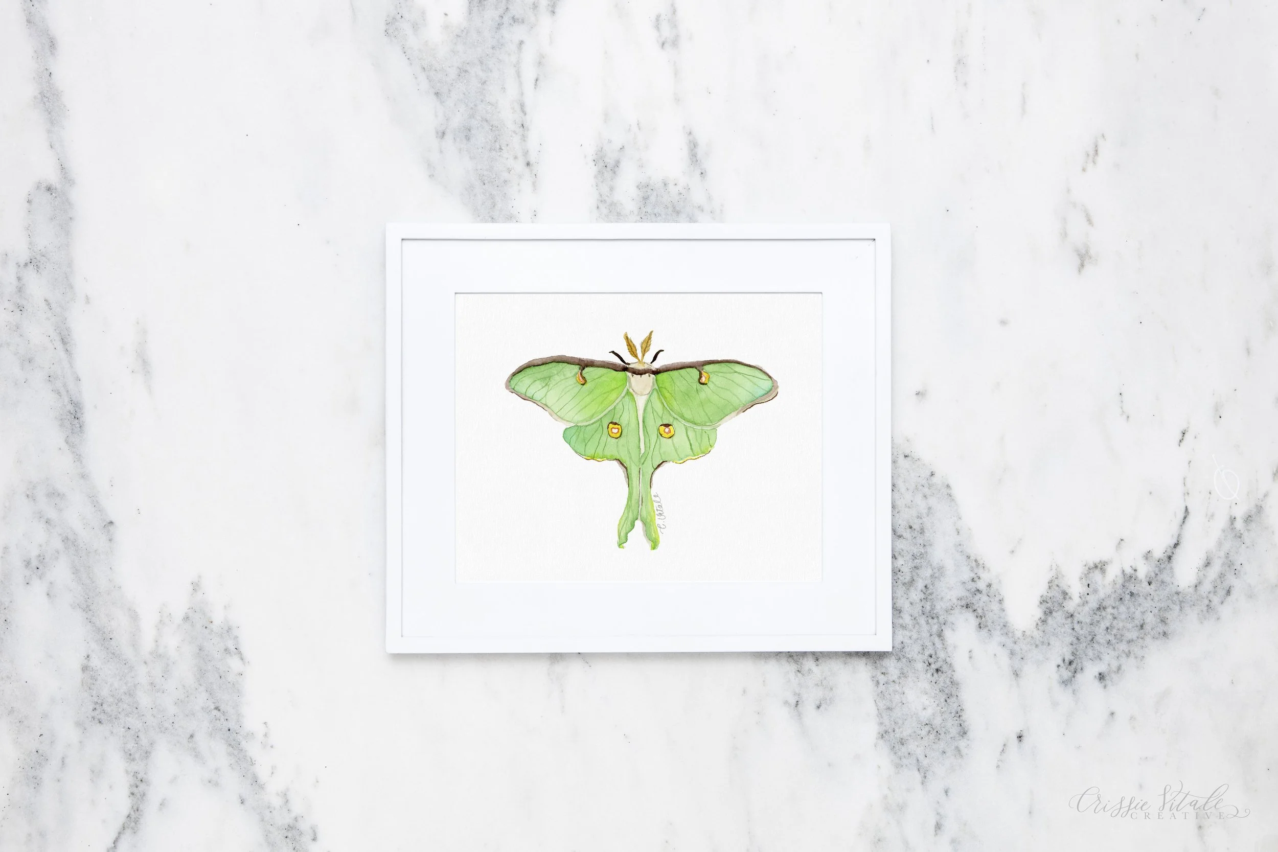mystical luna moth print form a watercolor painting