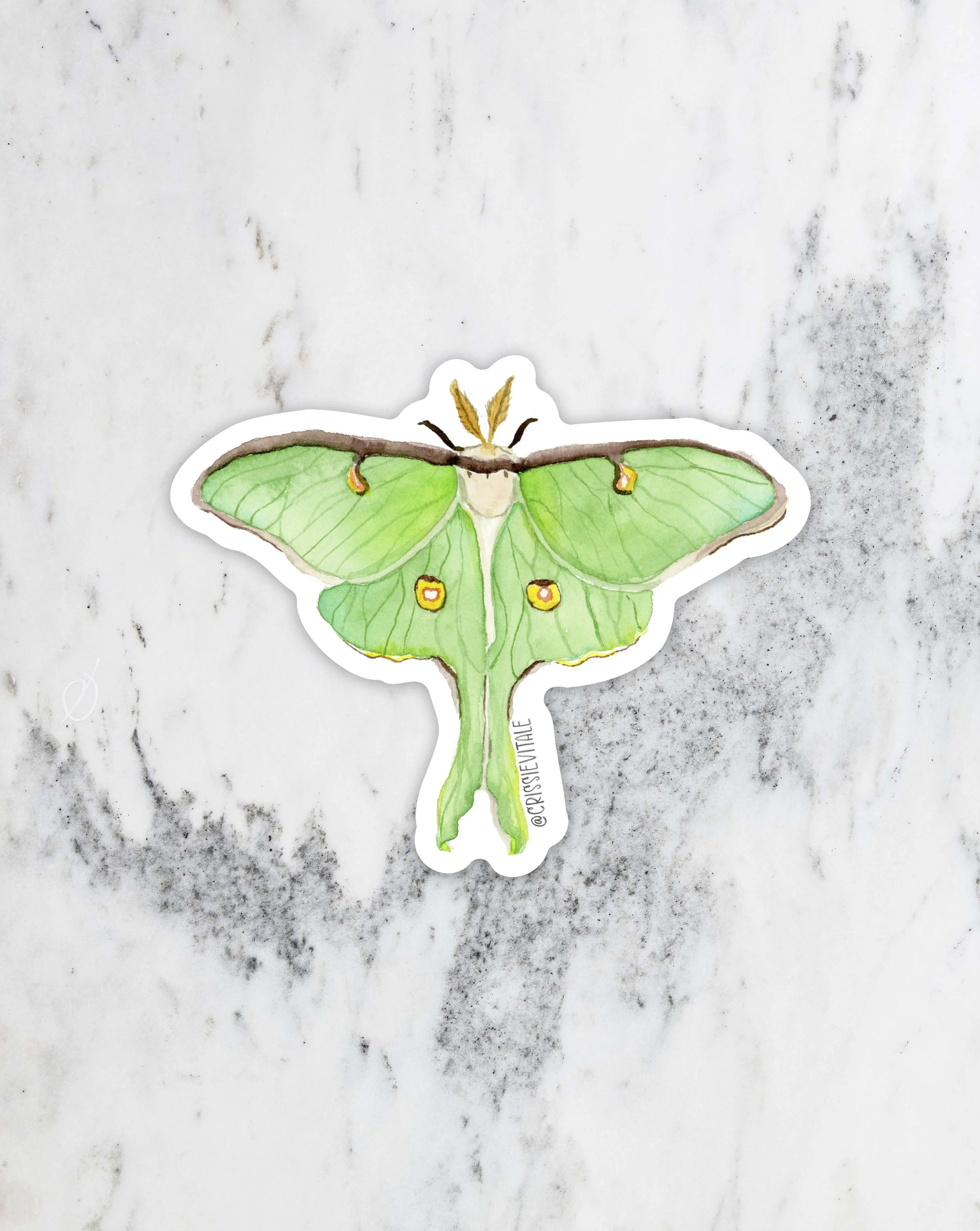 Luna moth vinyl sticker with watercolor lunar design