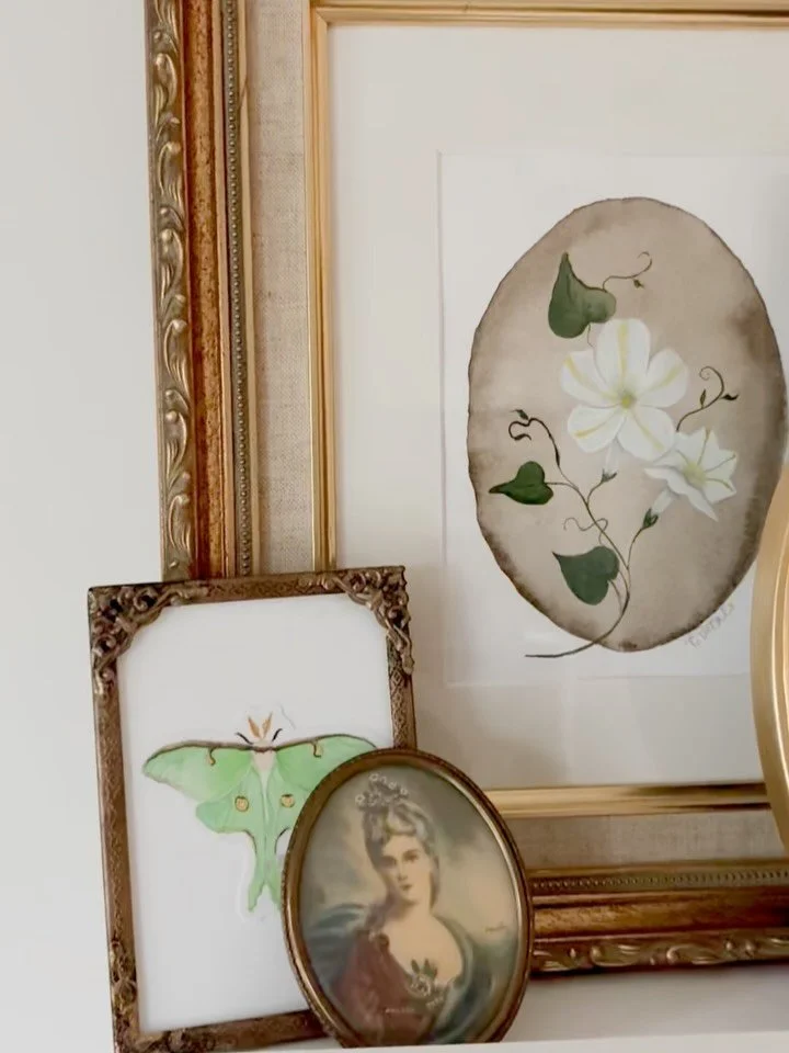 The garden calls… 🌙
On the eve of Halloween, it feels only right to wander back through tangled blooms and moody shadows. where the air hums with old magic and mystery stirs beneath the leaves.
Swipe through to step inside… and to me