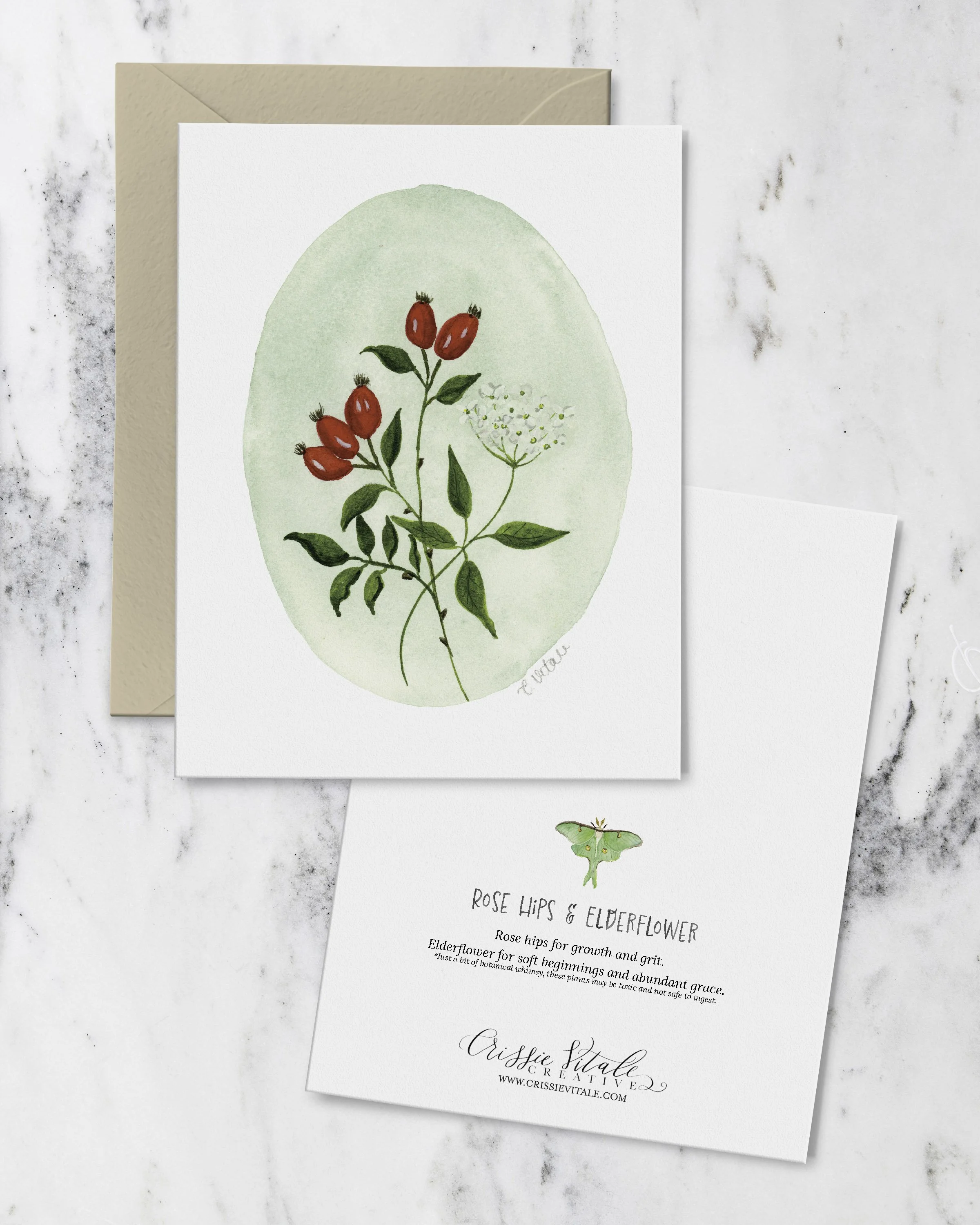 Rose Hip & Elder Flower Note Cards
