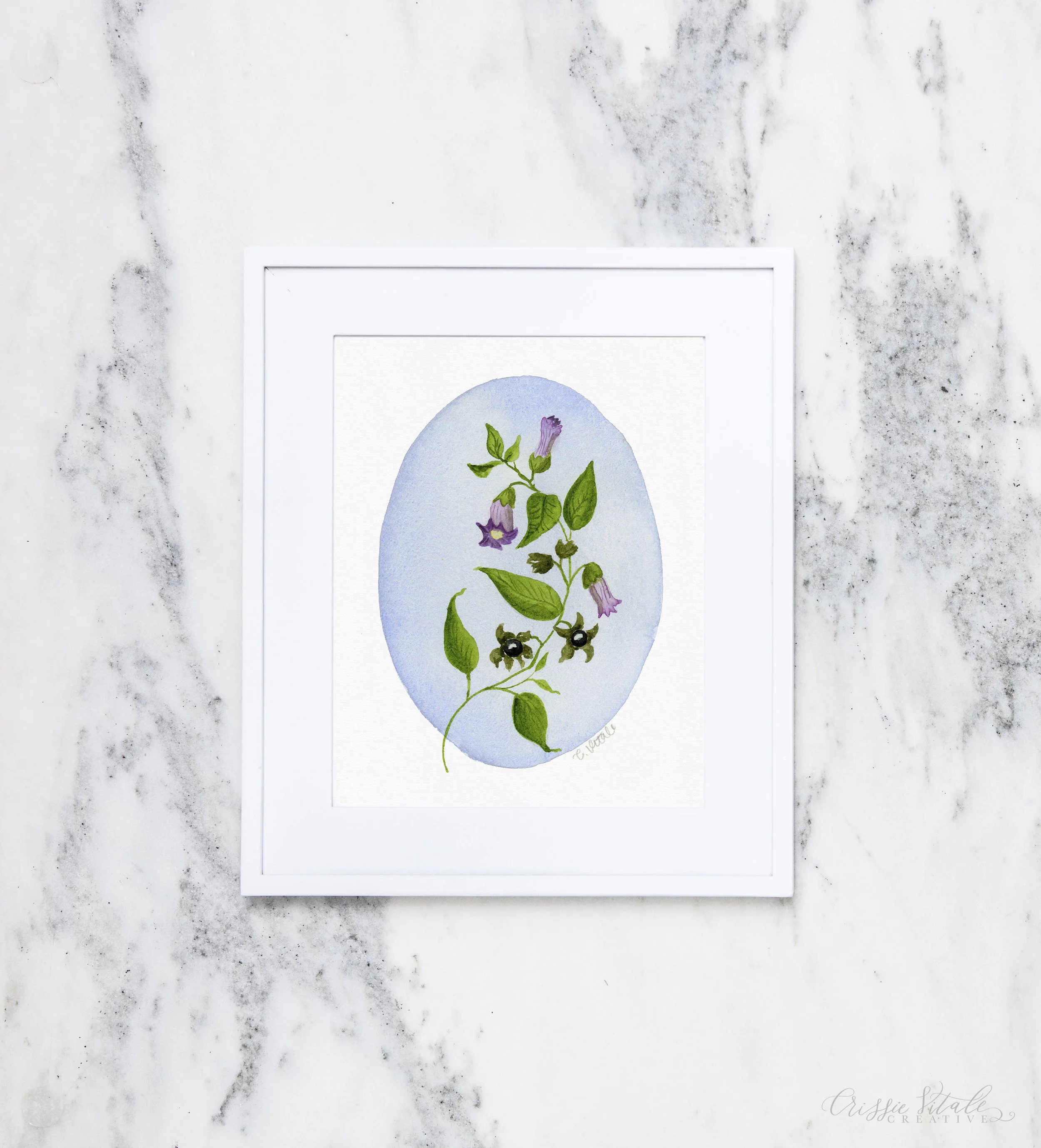 whimsical fine art pring of a watercolor painting of deadly nightshade