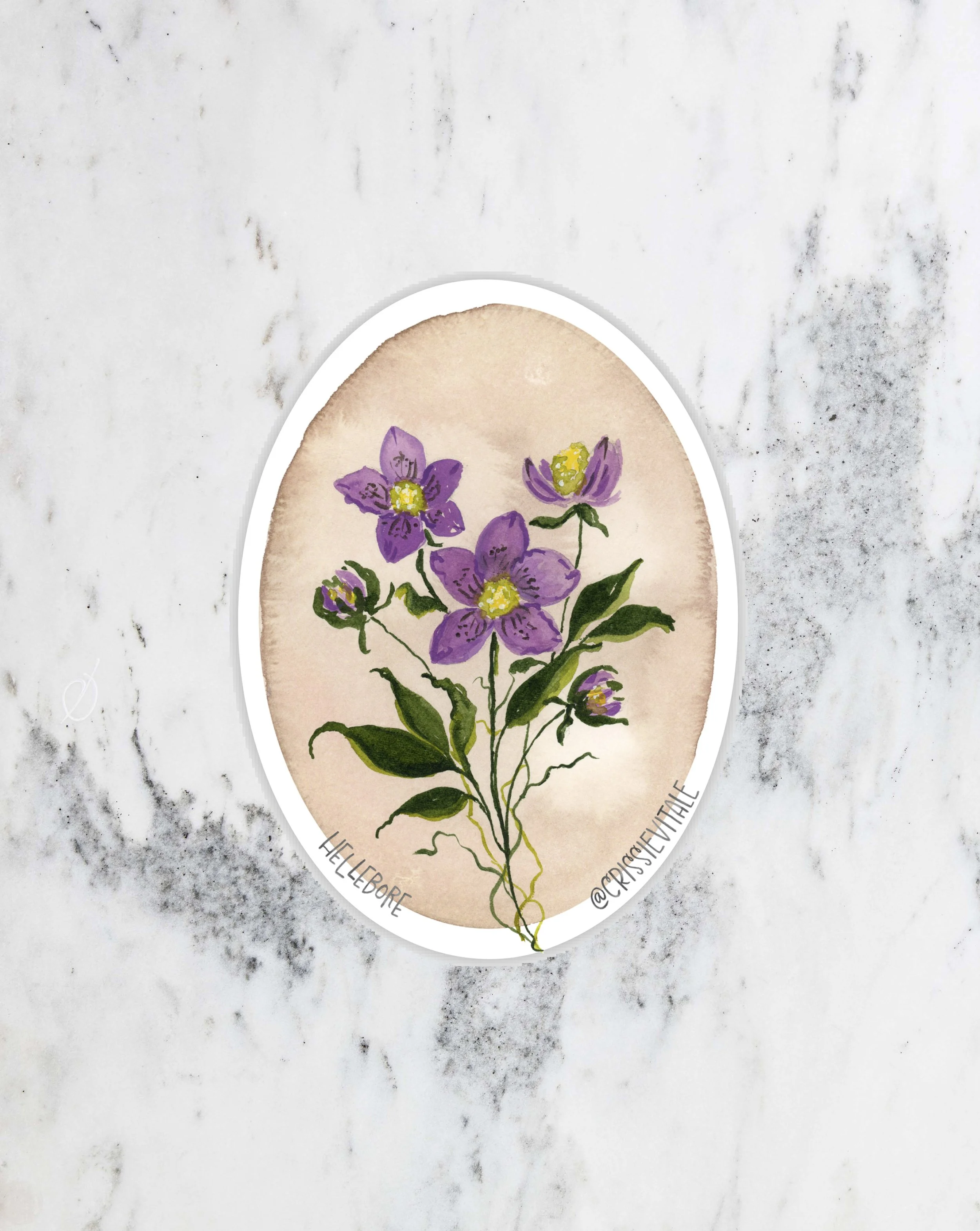 hellebore-sticker.jpg