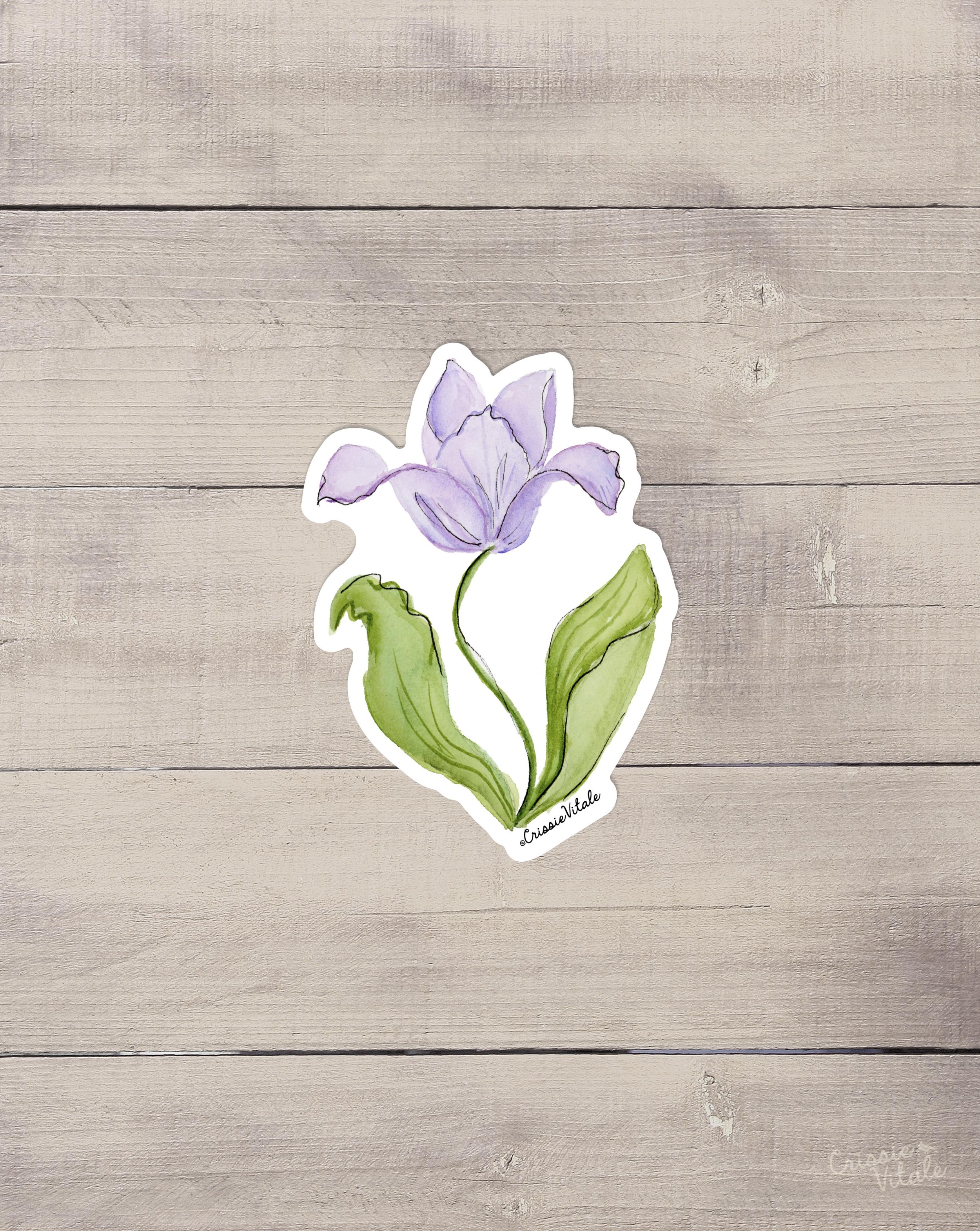 Emily-Tulip-sticker.jpg