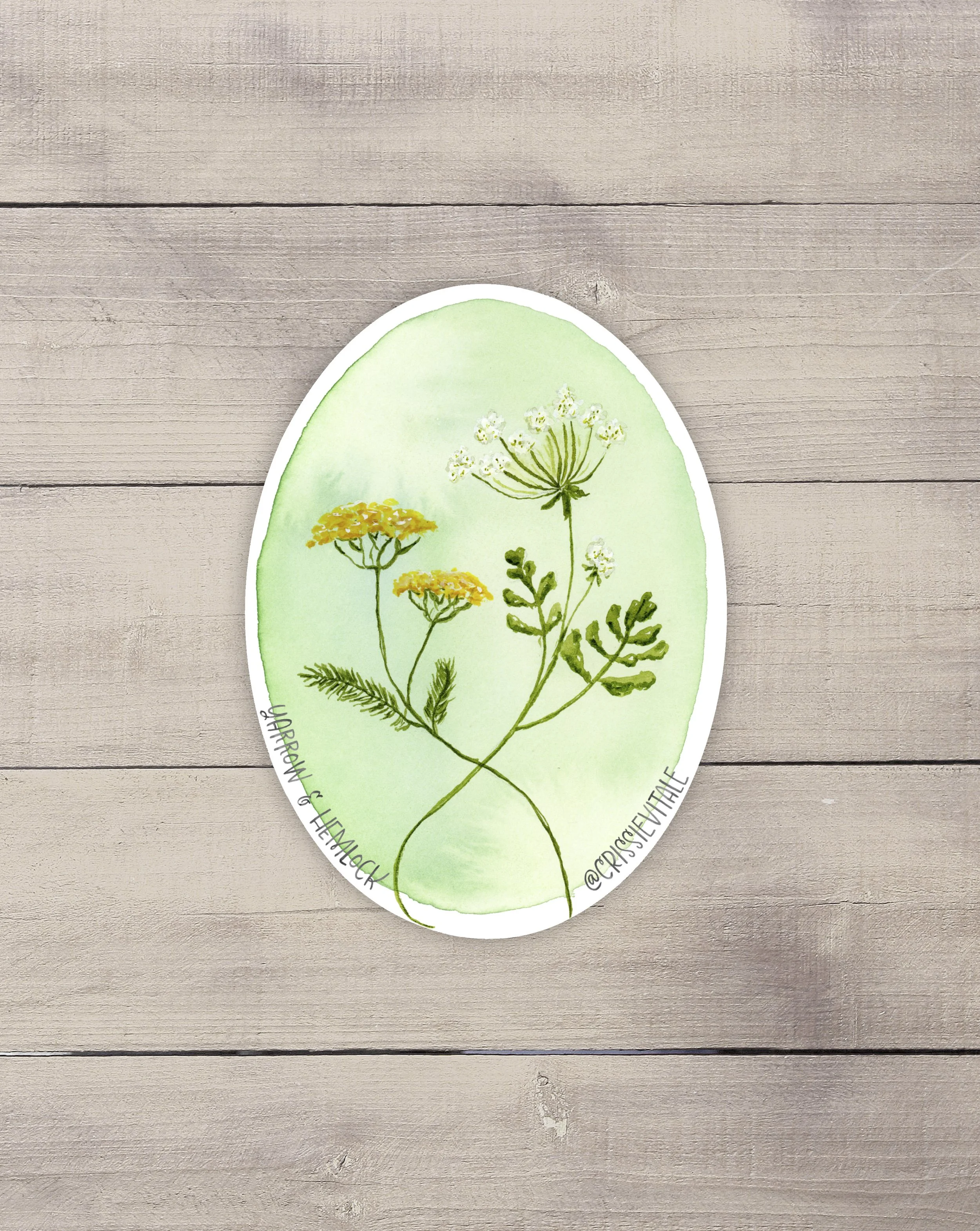 Yarrow & Hemlock Vinyl Sticker