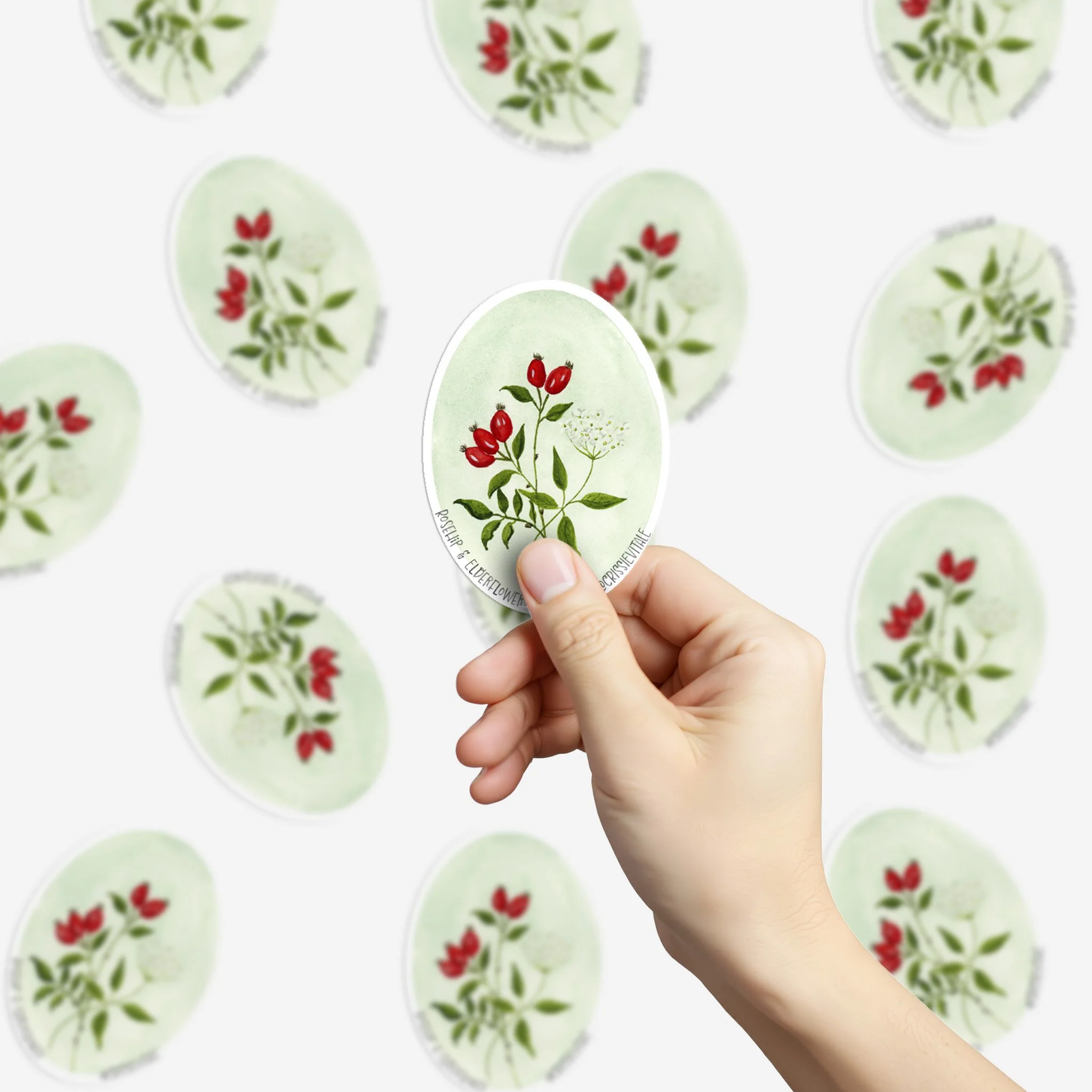 rosehip-sticker-2.jpg