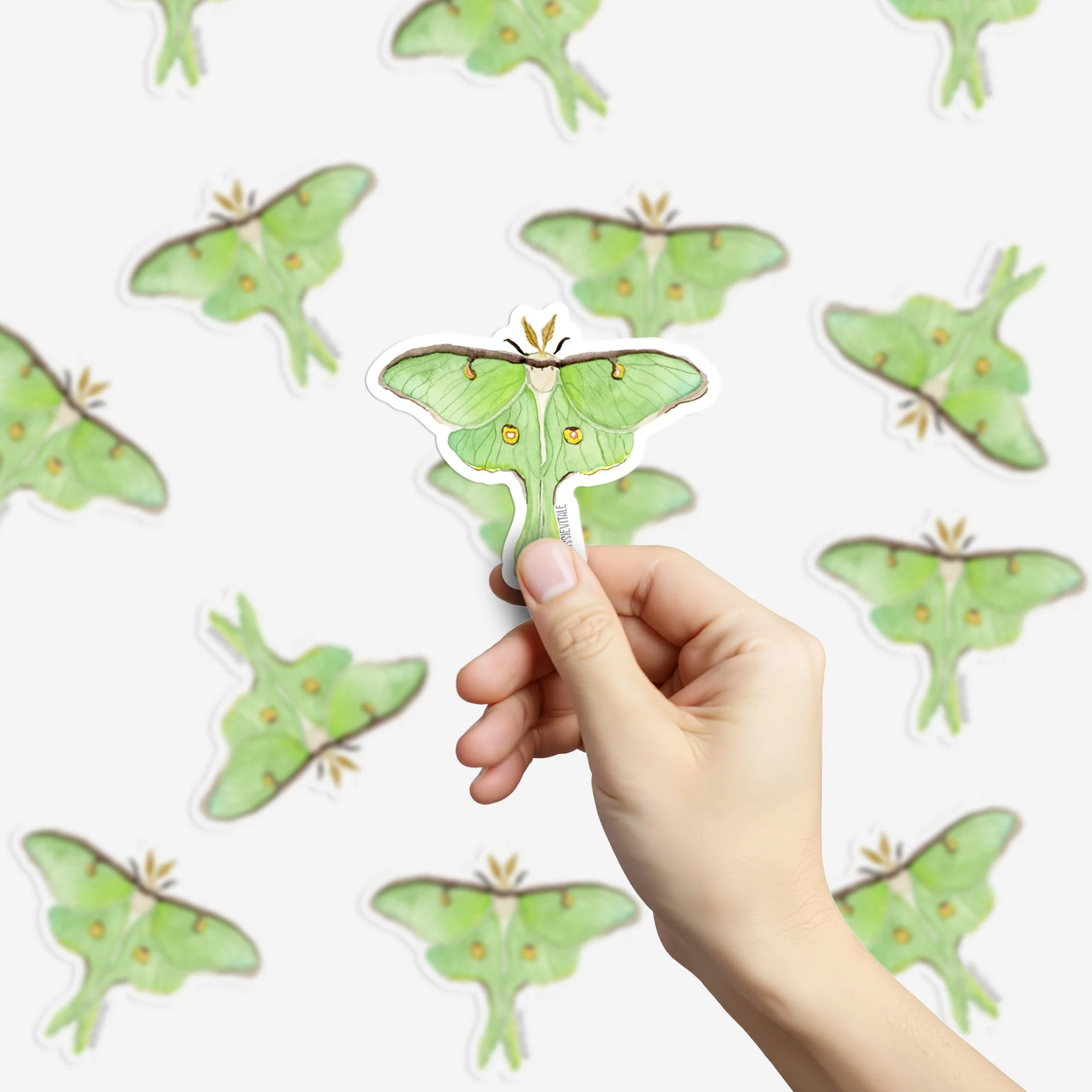 Luna-moth-2.jpg
