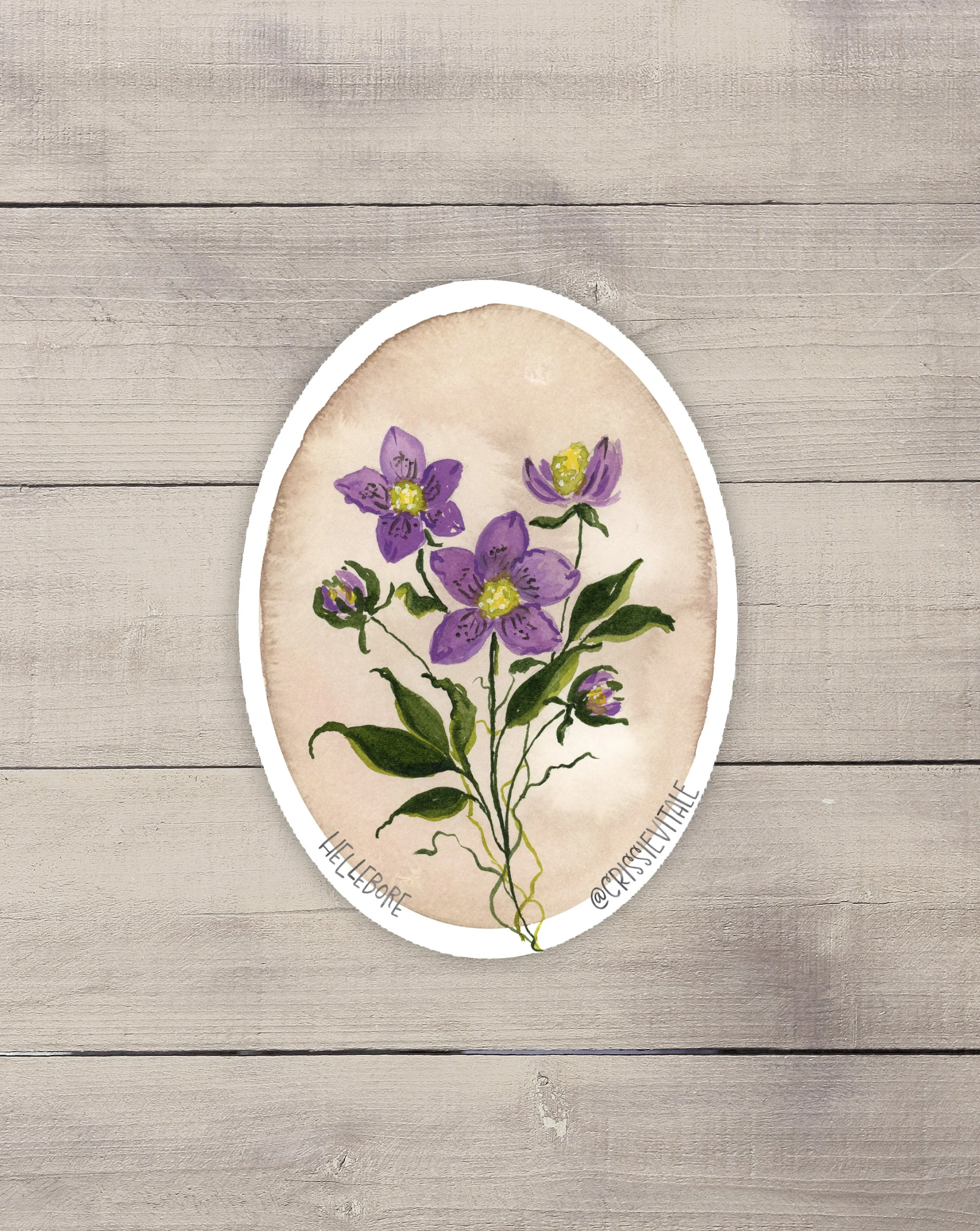 Hellebore Vinyl Sticker