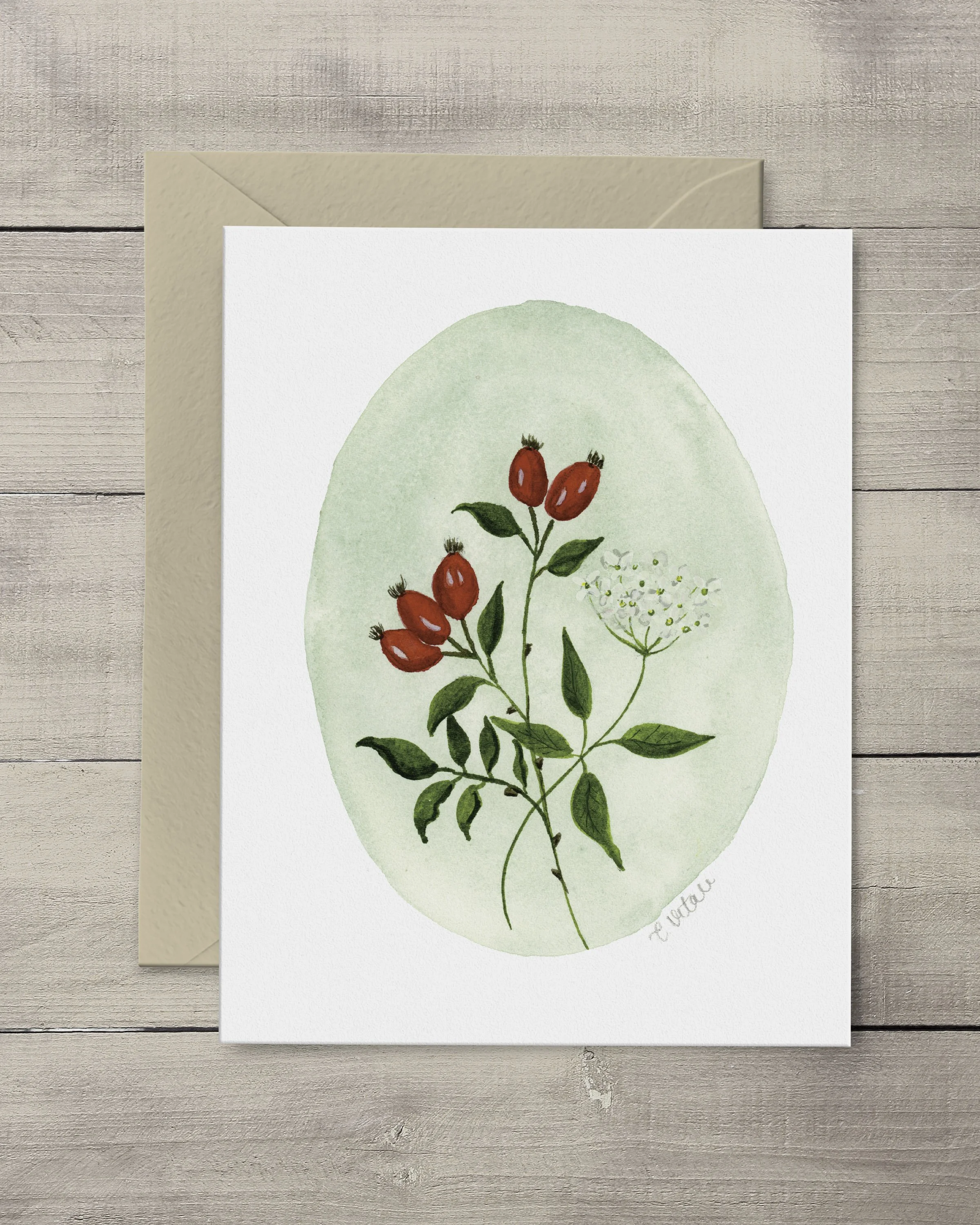 Rose Hip & Elder Flower Note Cards