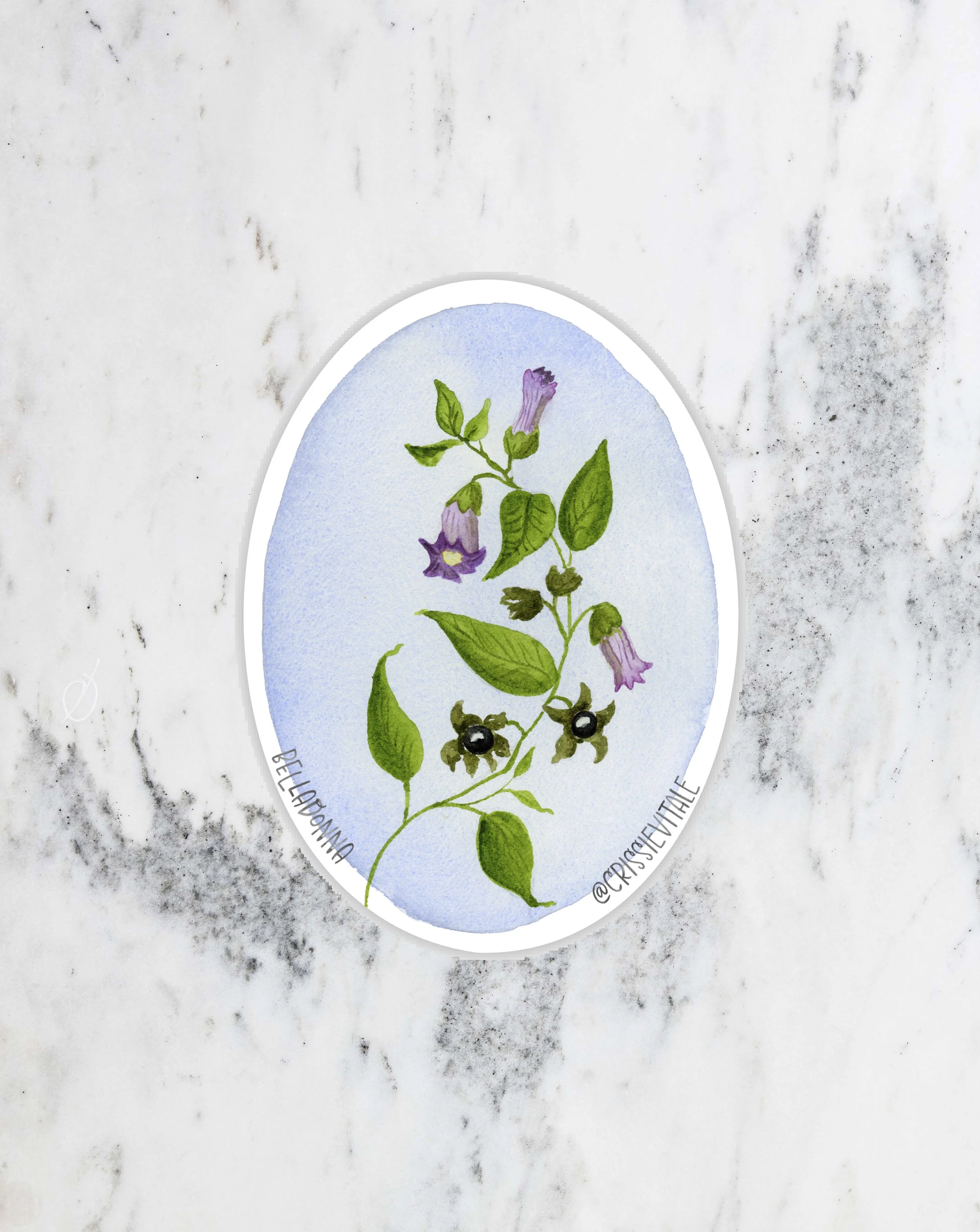 belladonna-sticker.jpg