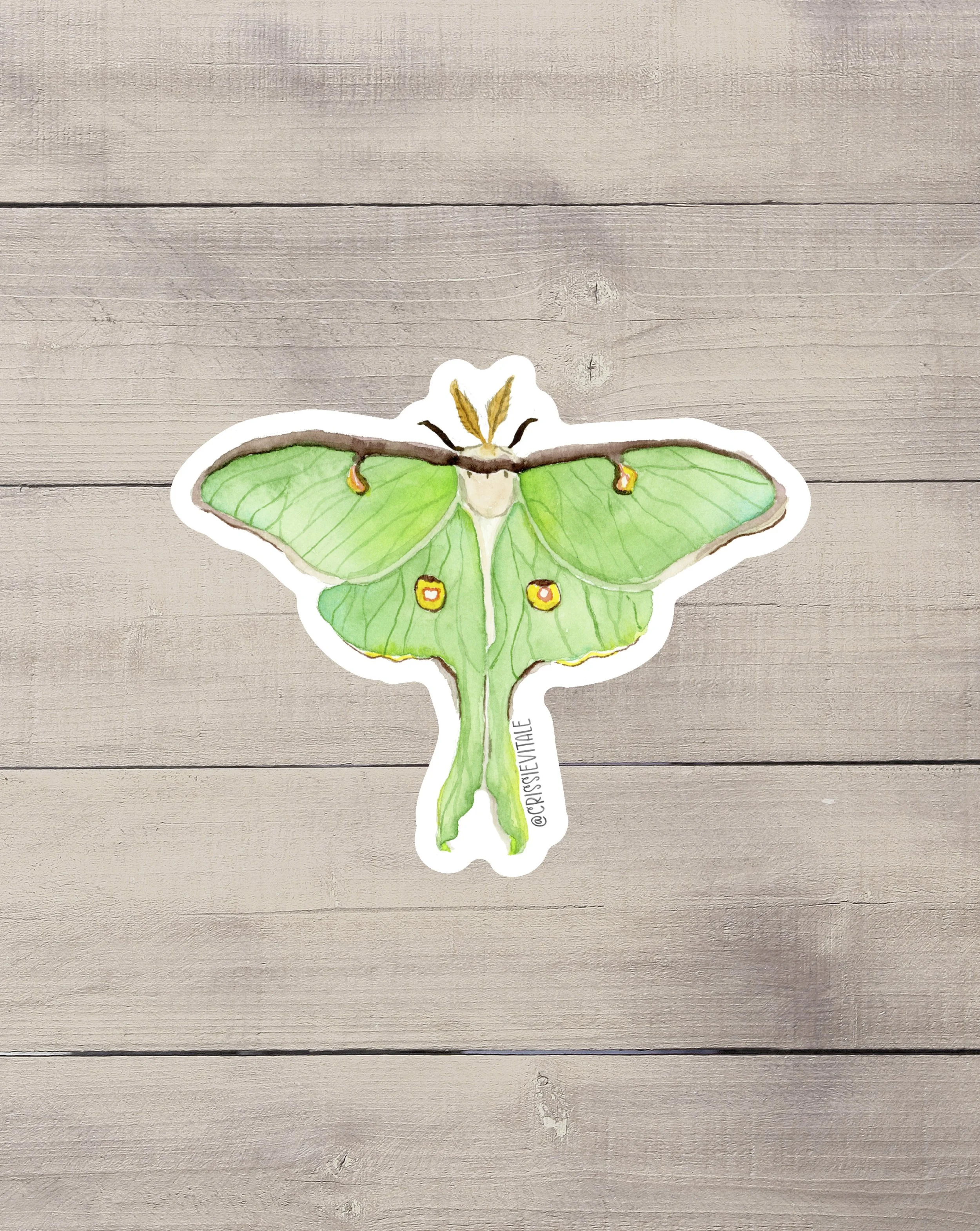 Luna Moth Vinyl Sticker