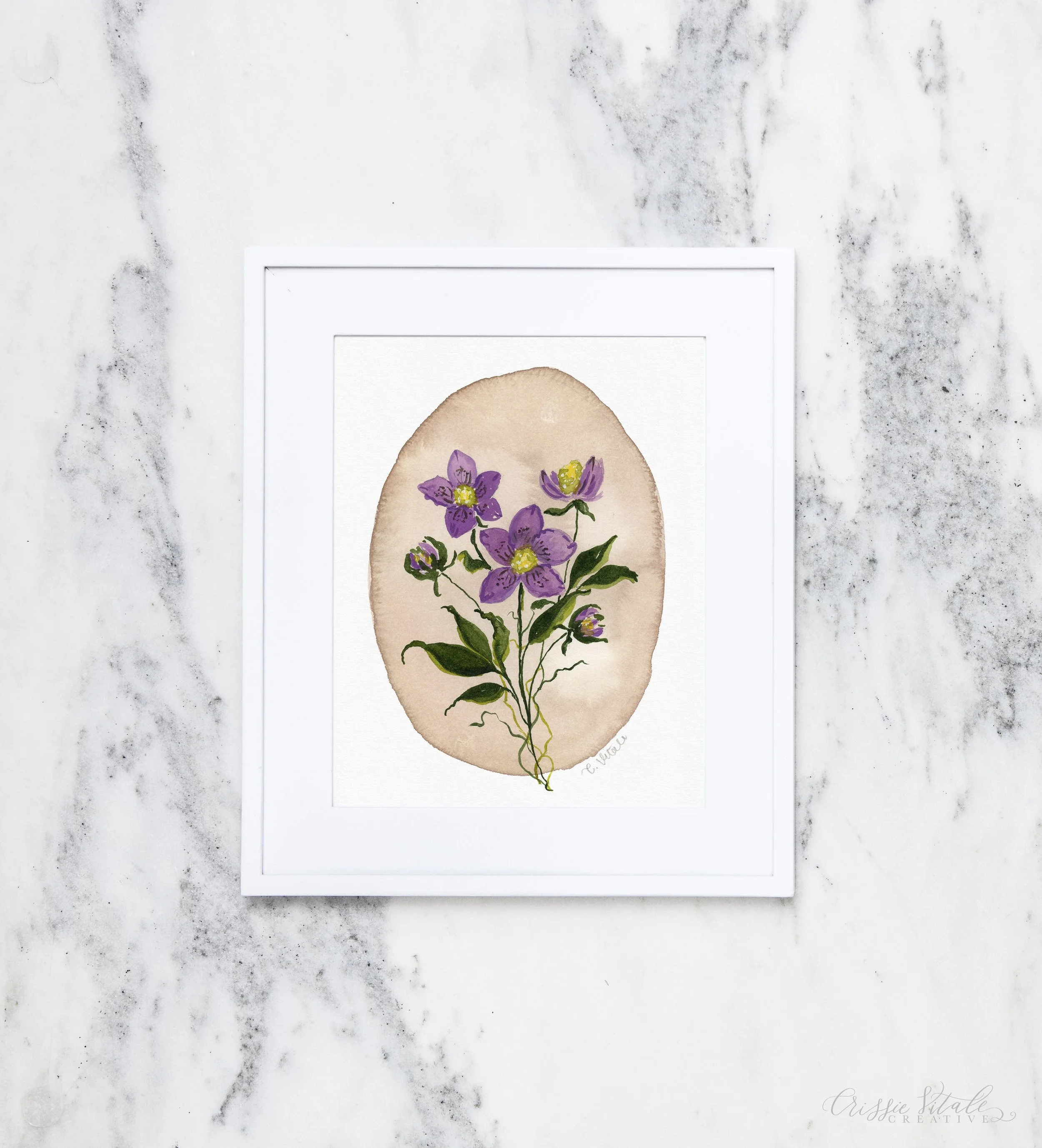Fine Art Print of a Watercolor painting of the winter rose, hellebore