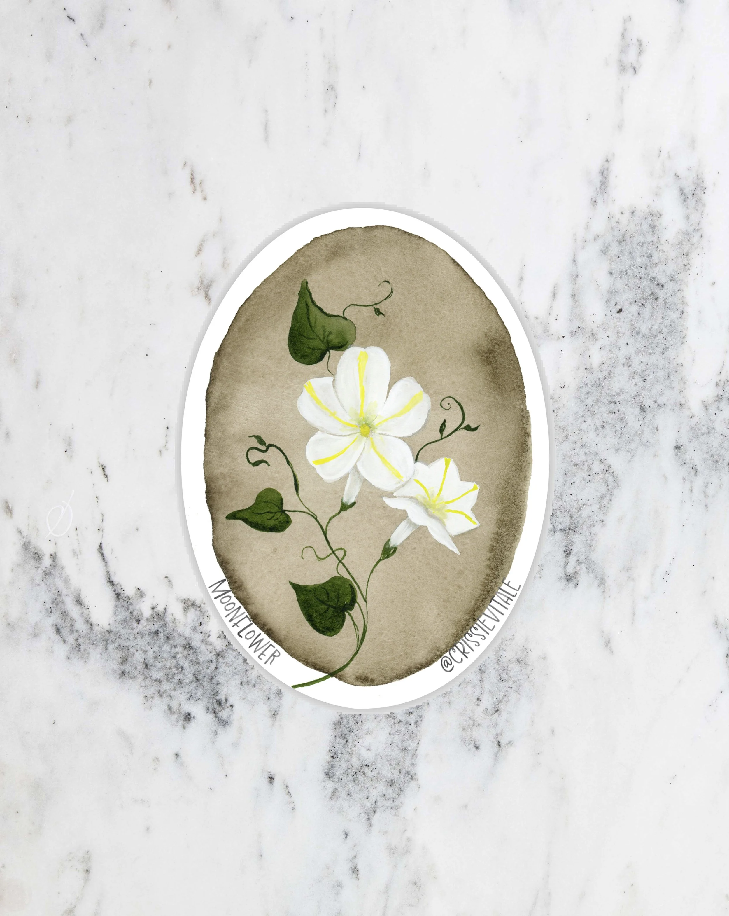 moonflower-sticker.jpg