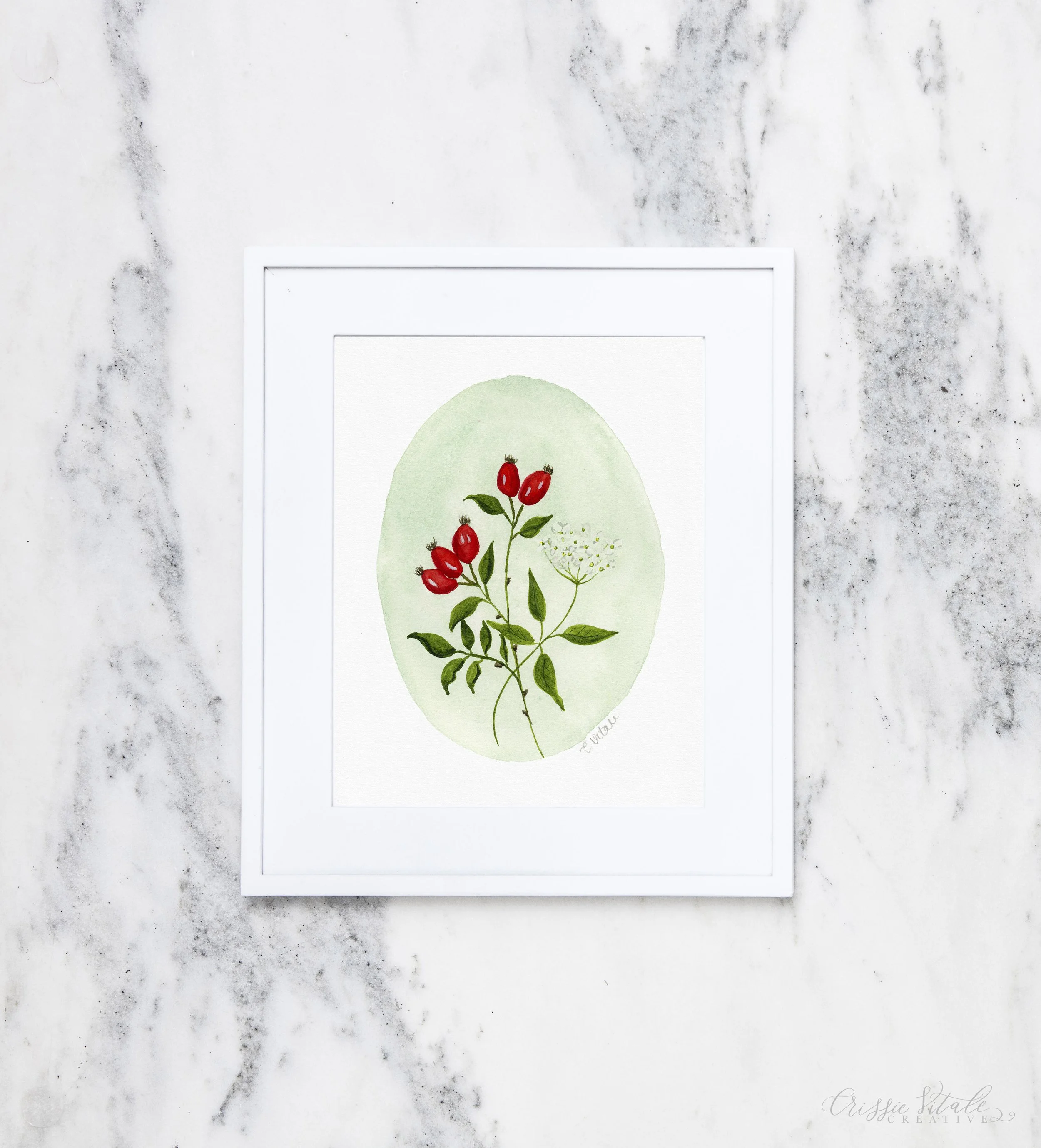 small and whimsical watercolor pairing of rose hips and elderflowers