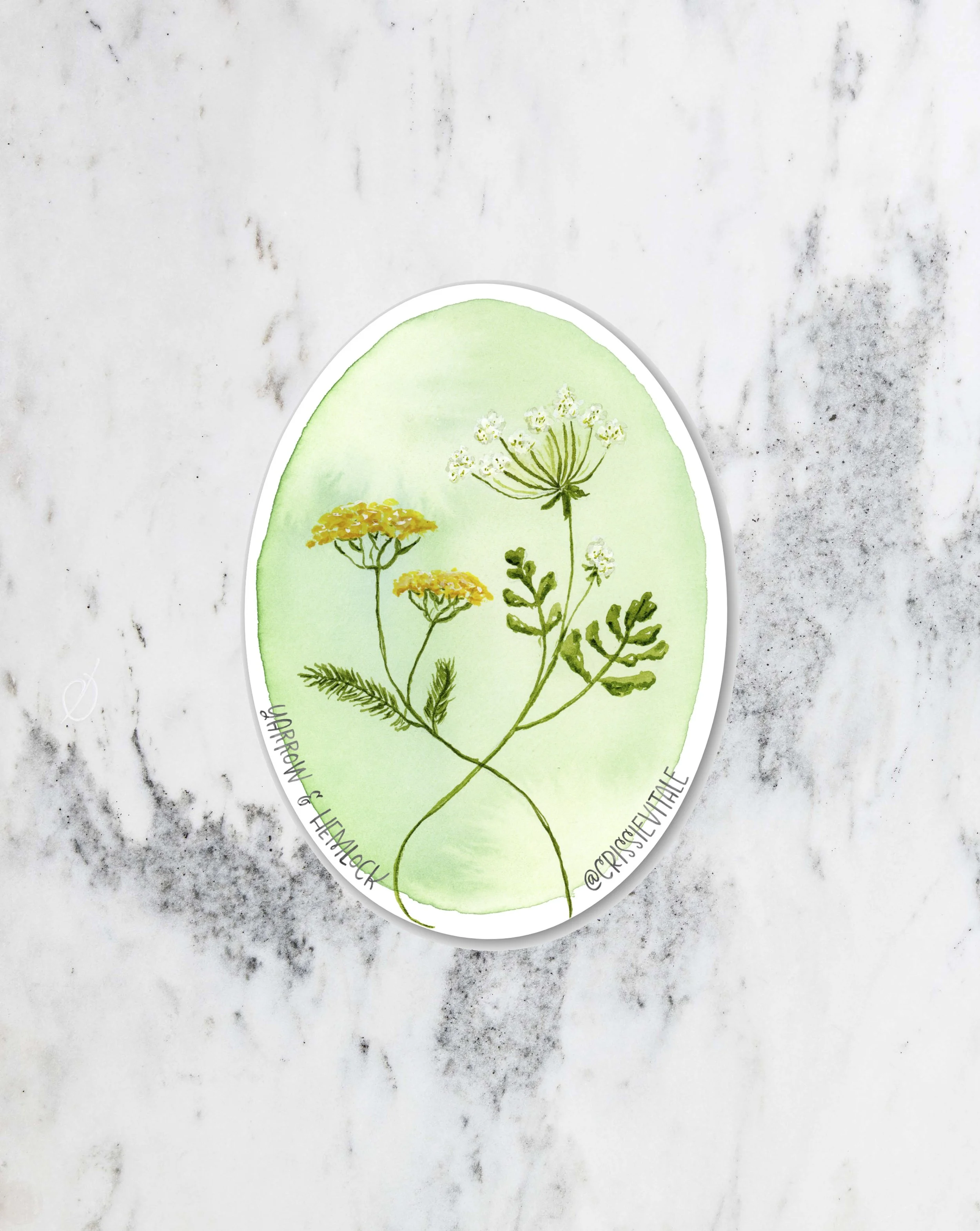 Yarrow and Hemlock vinyl sticker with watercolor witchy botanical design