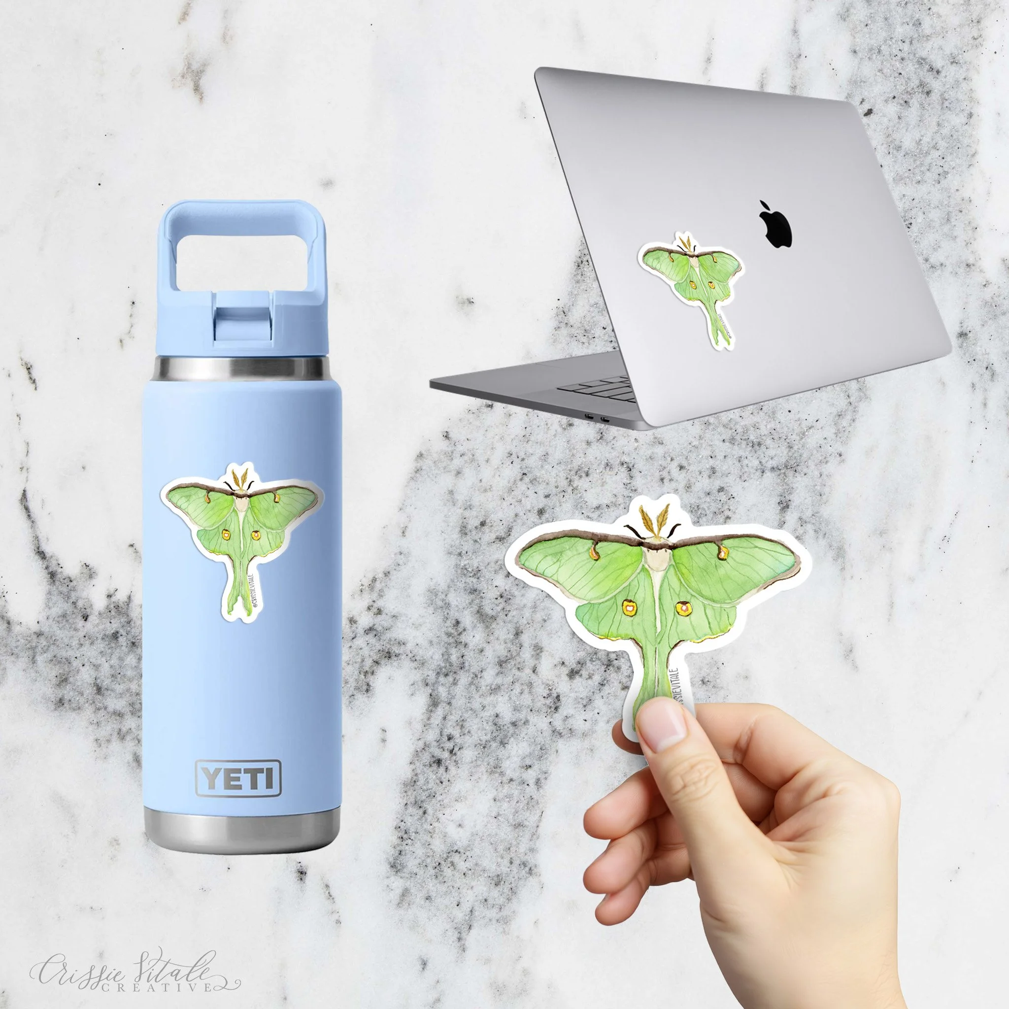 Luna-moth-3.jpg