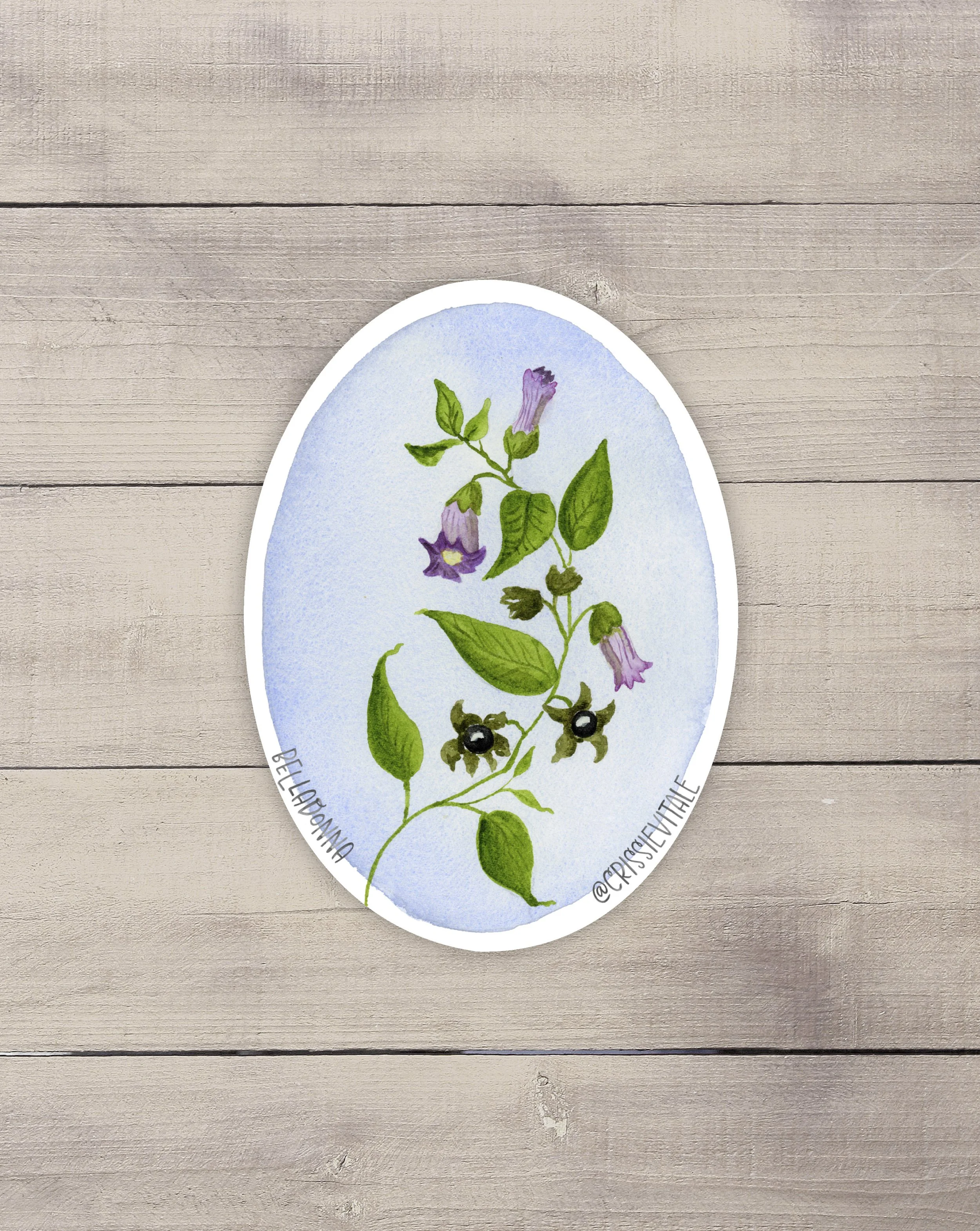 Belladonna Vinyl Sticker