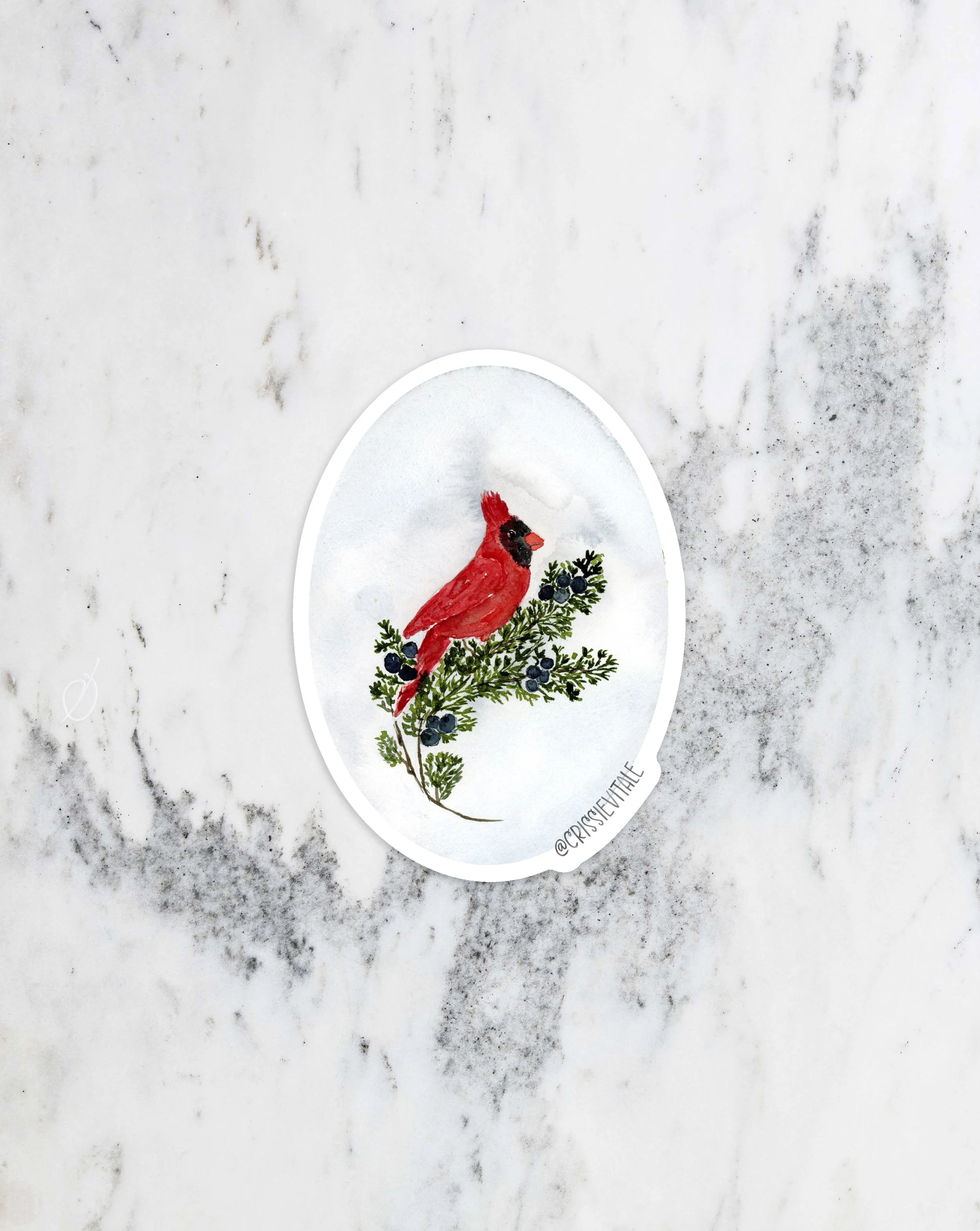 Winter Watcher Vinyl Sticker