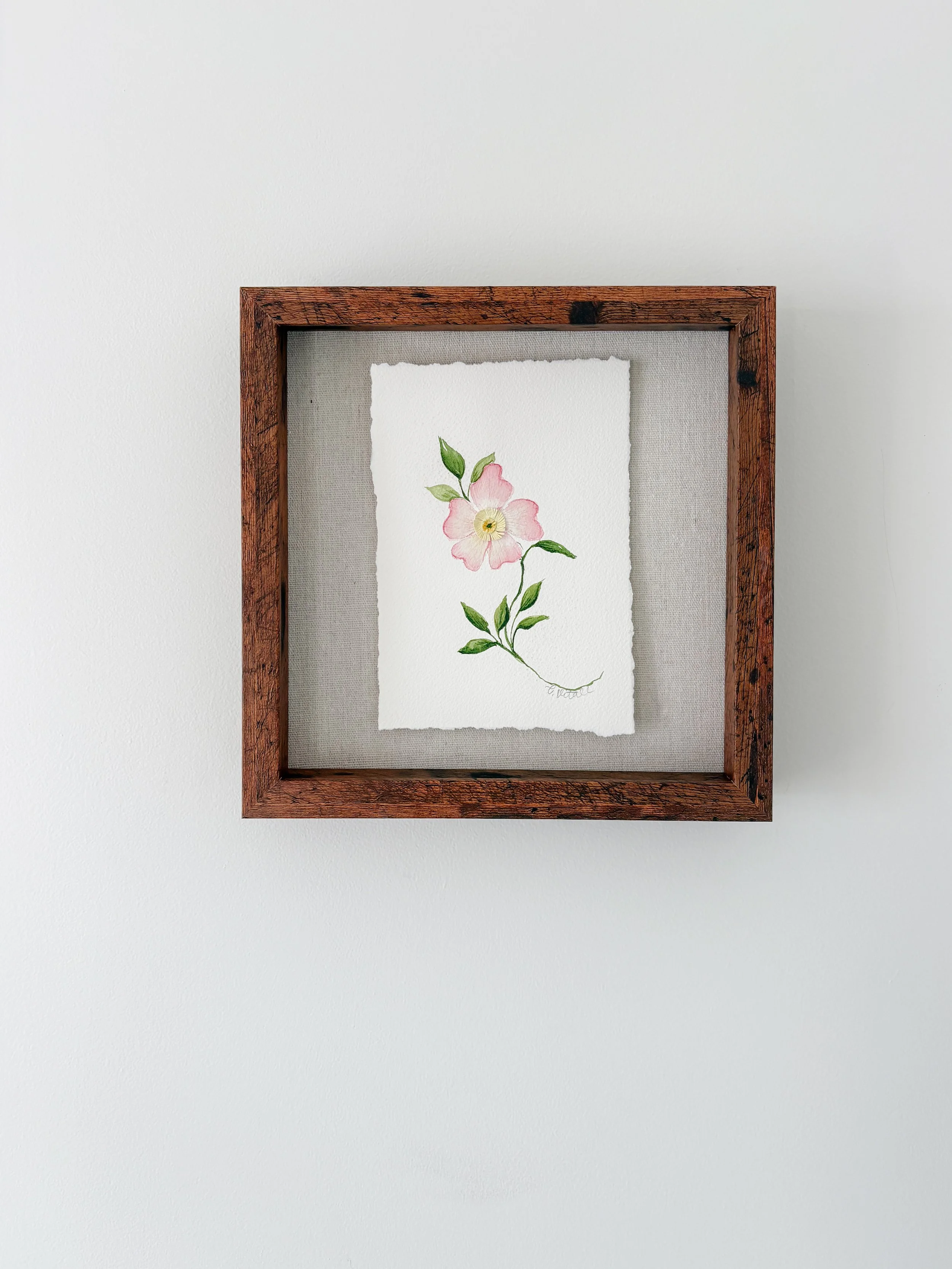 Framed Original Watercolor | Nobody knows this little Rose