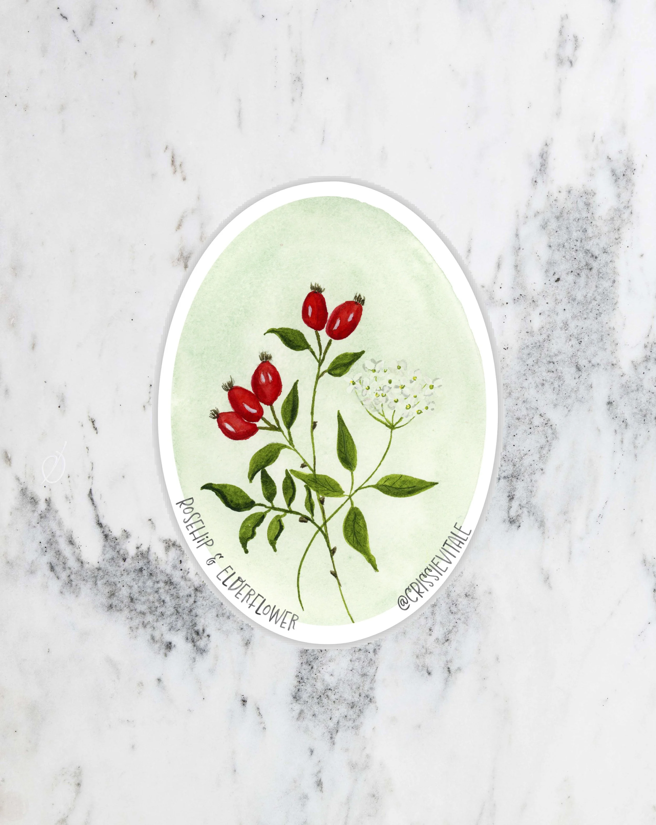 rosehip-sticker.jpg