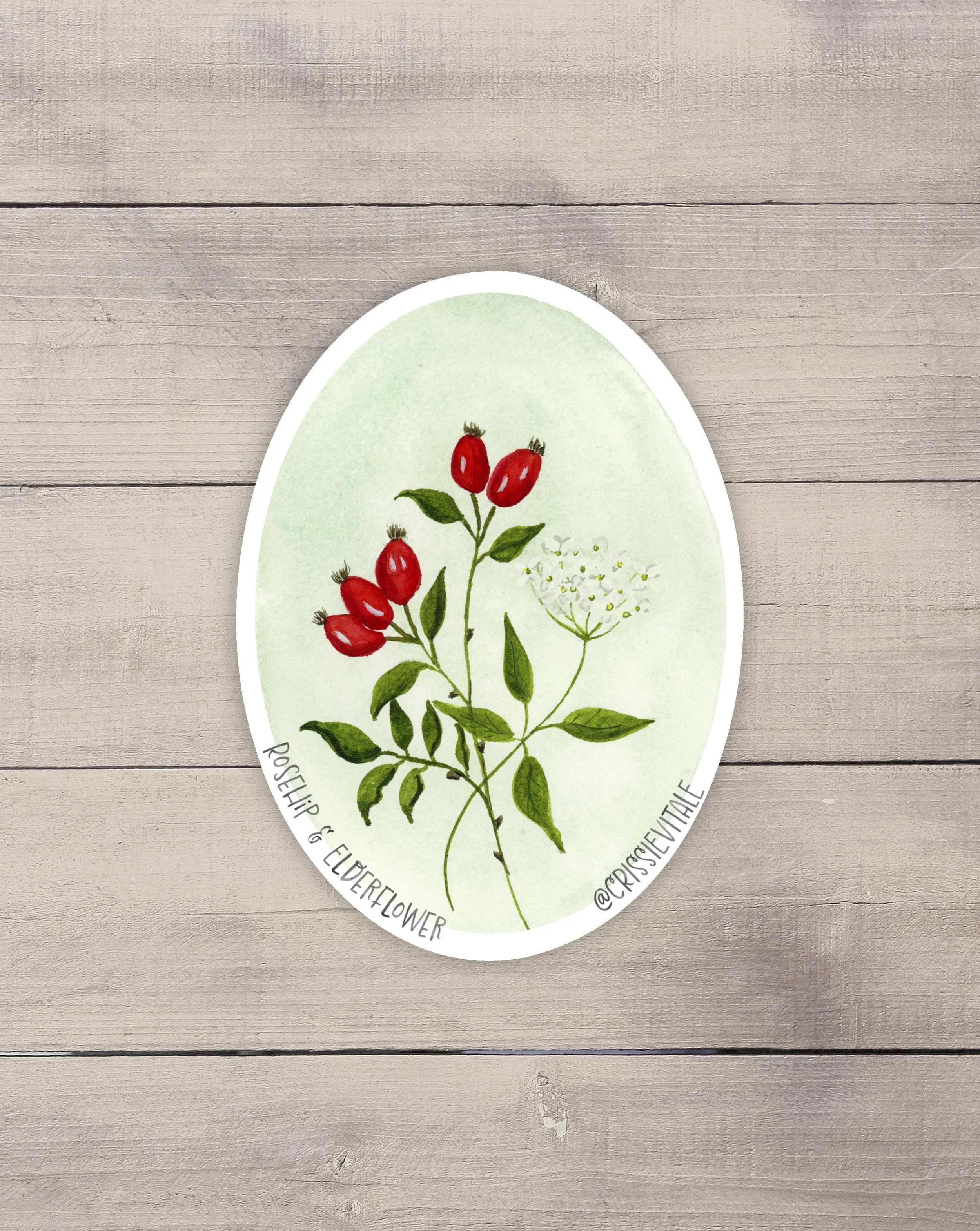Rose Hips & Elderflower Vinyl Sticker