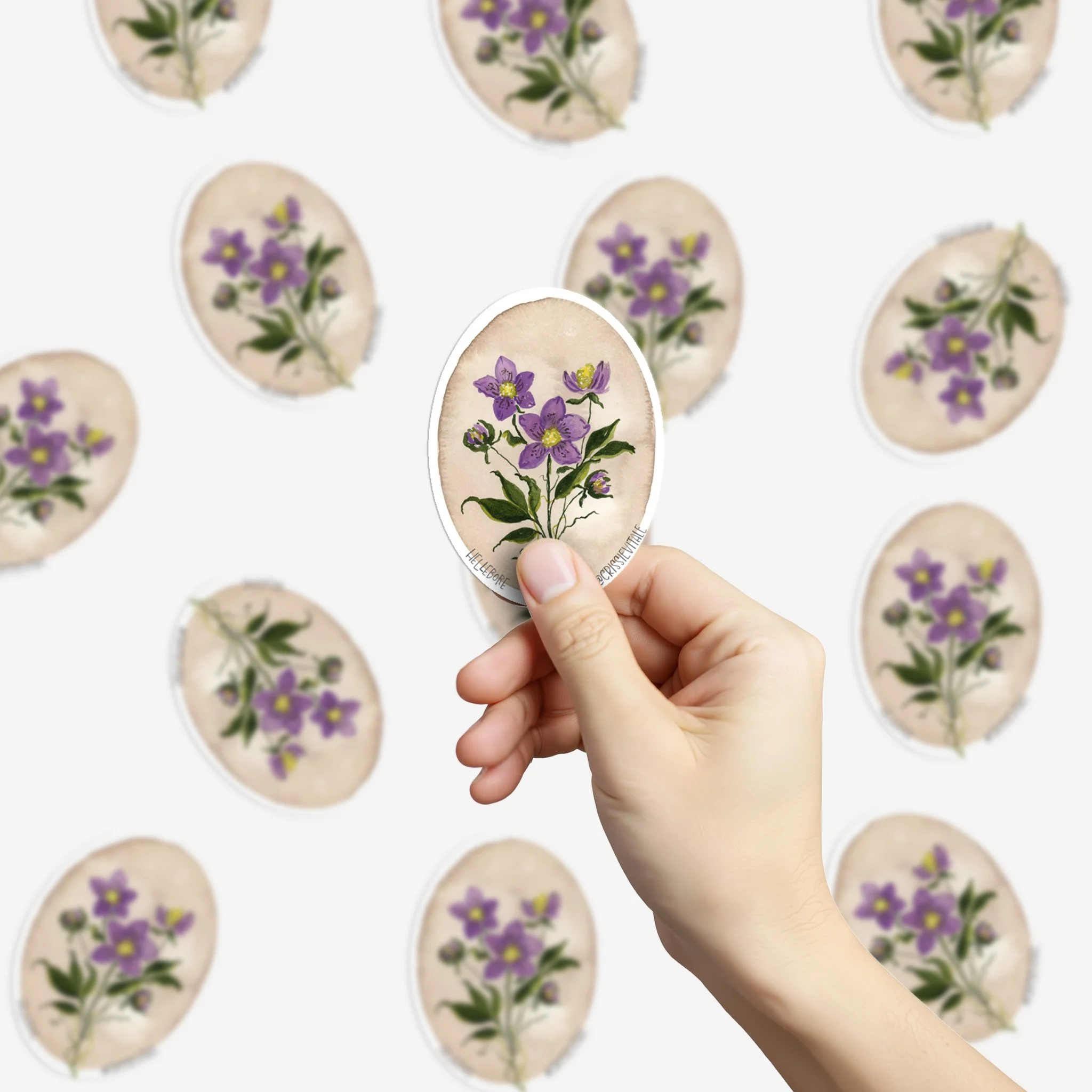 hellebore-sticker-2.jpg
