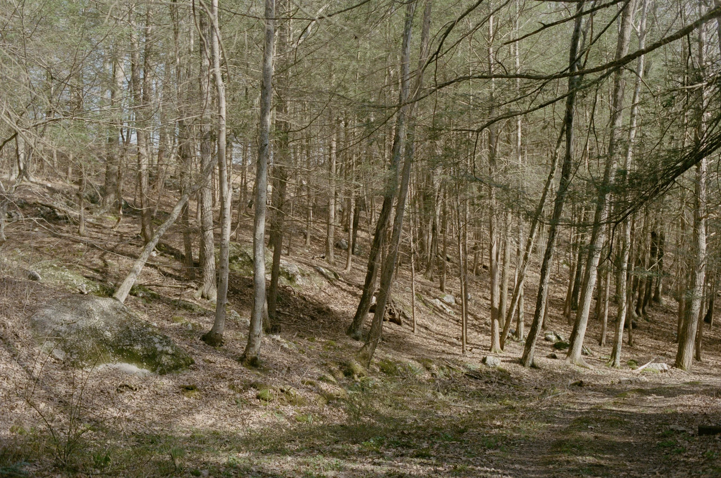 000353120014.jpg